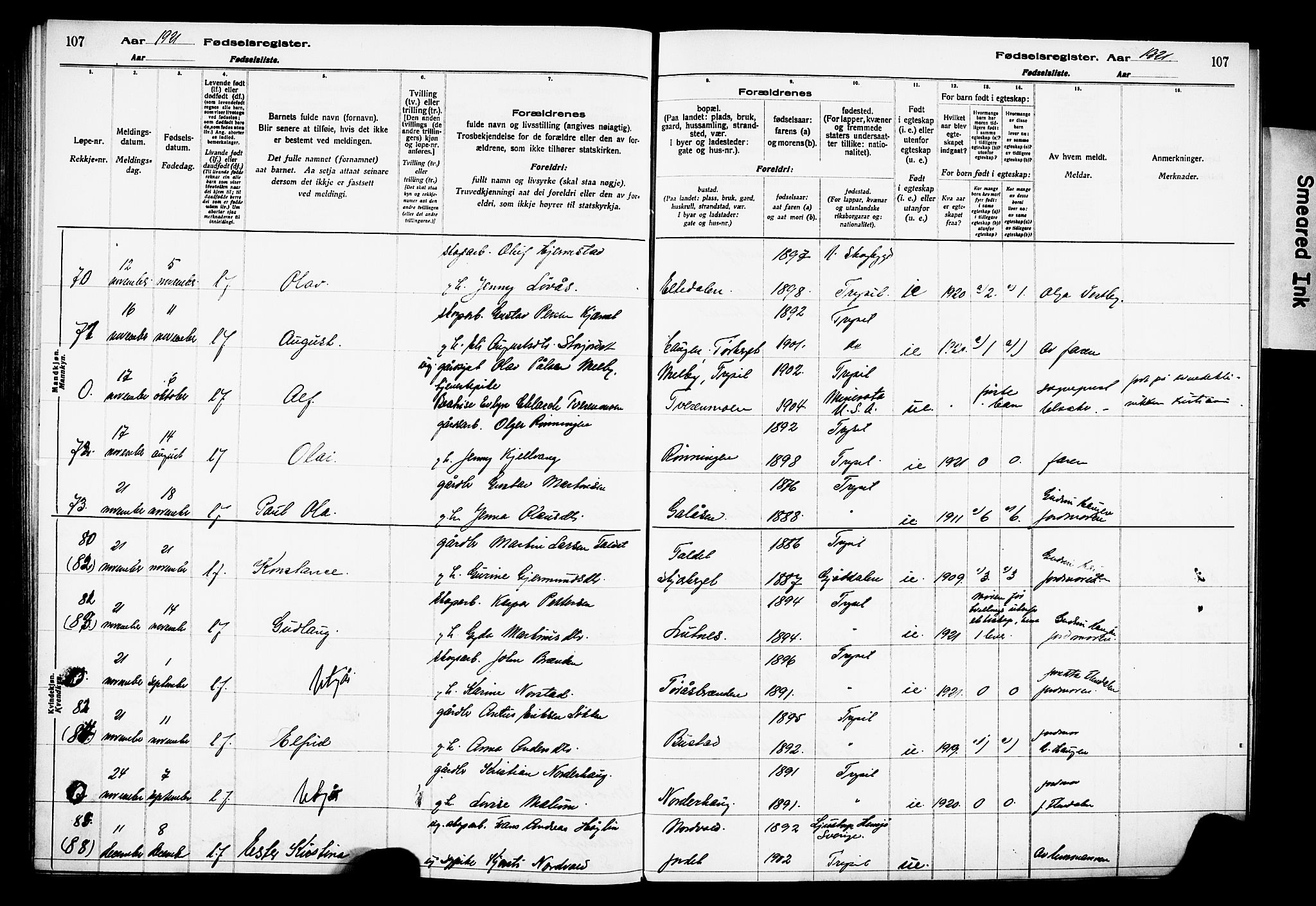 Trysil prestekontor, AV/SAH-PREST-046/I/Id/Ida/L0001: Birth register no. I 1, 1916-1927, p. 107