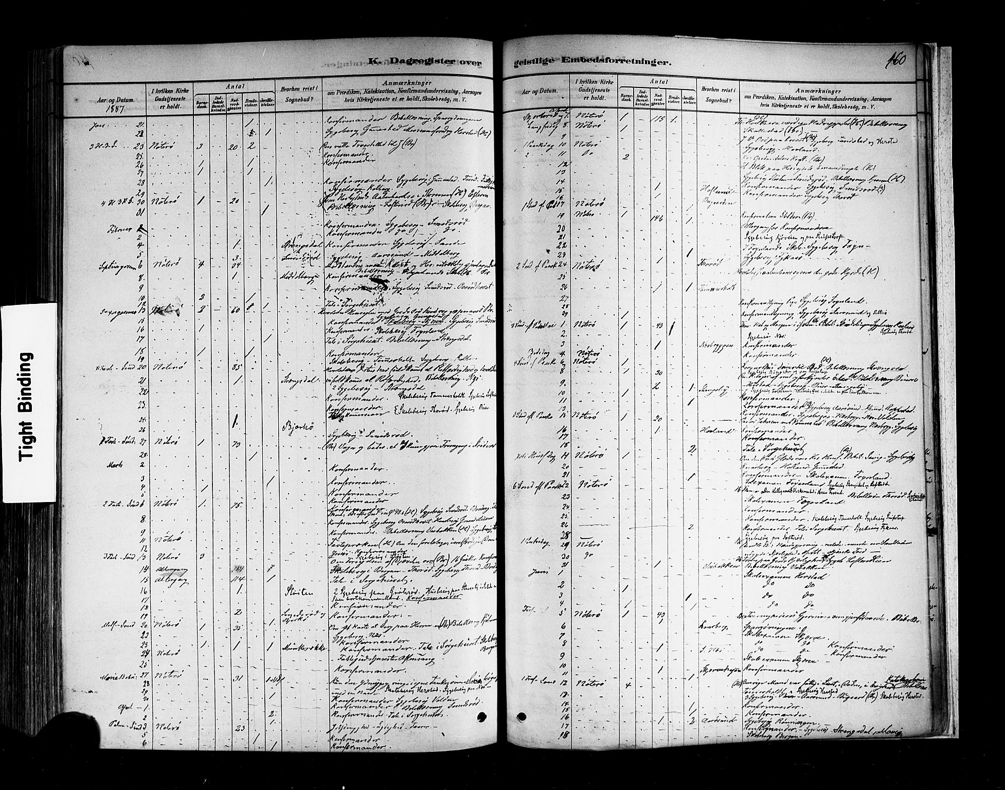 Nøtterøy kirkebøker, AV/SAKO-A-354/F/Fa/L0008: Parish register (official) no. I 8, 1878-1893, p. 460