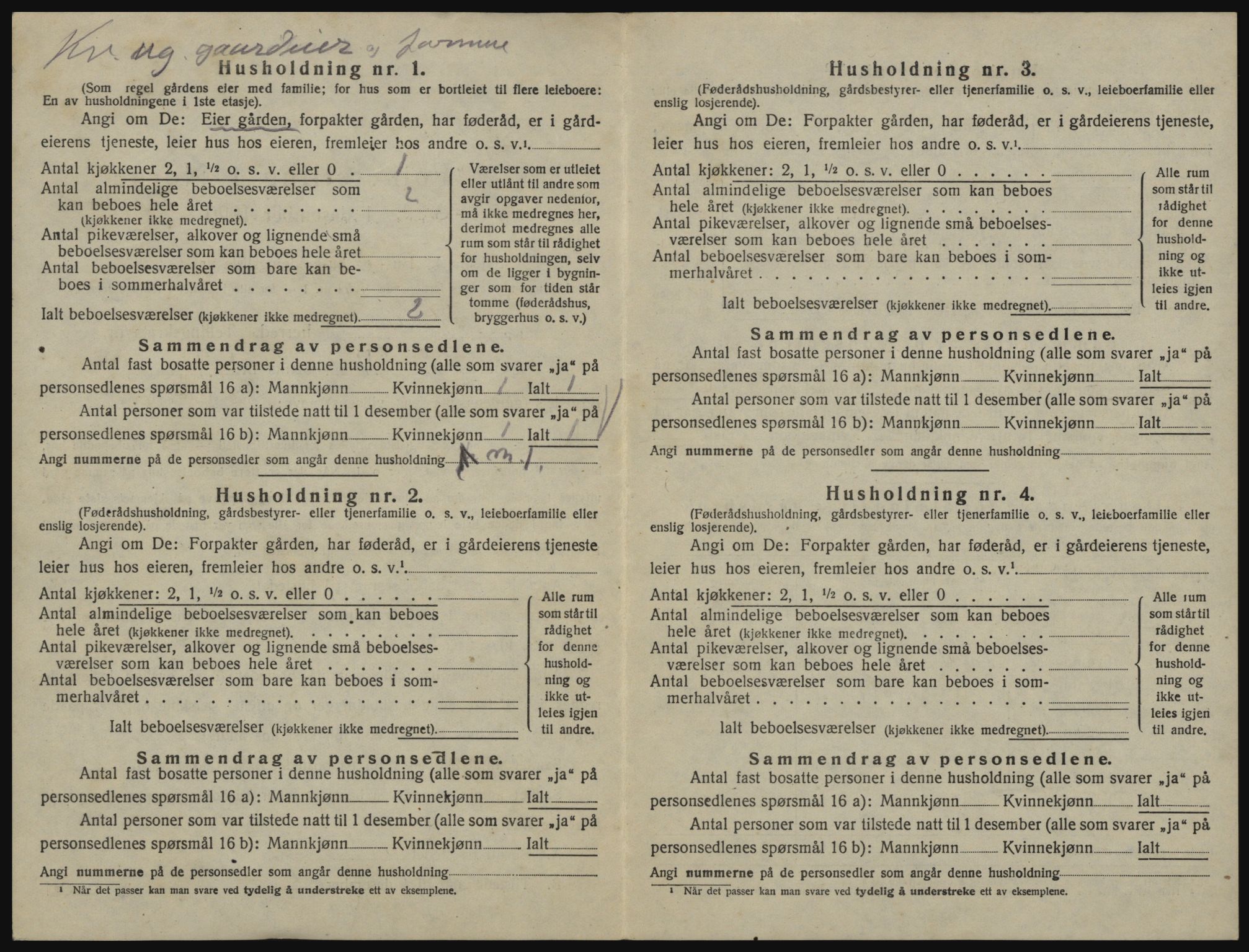 SAO, 1920 census for Våler, 1920, p. 905