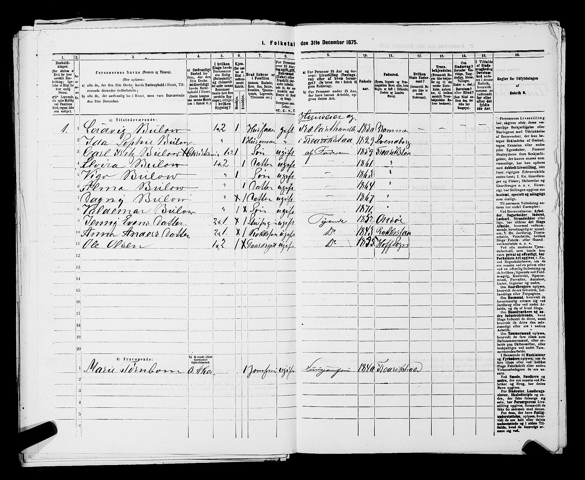 SAKO, 1875 census for 0602 Drammen, 1875, p. 2912