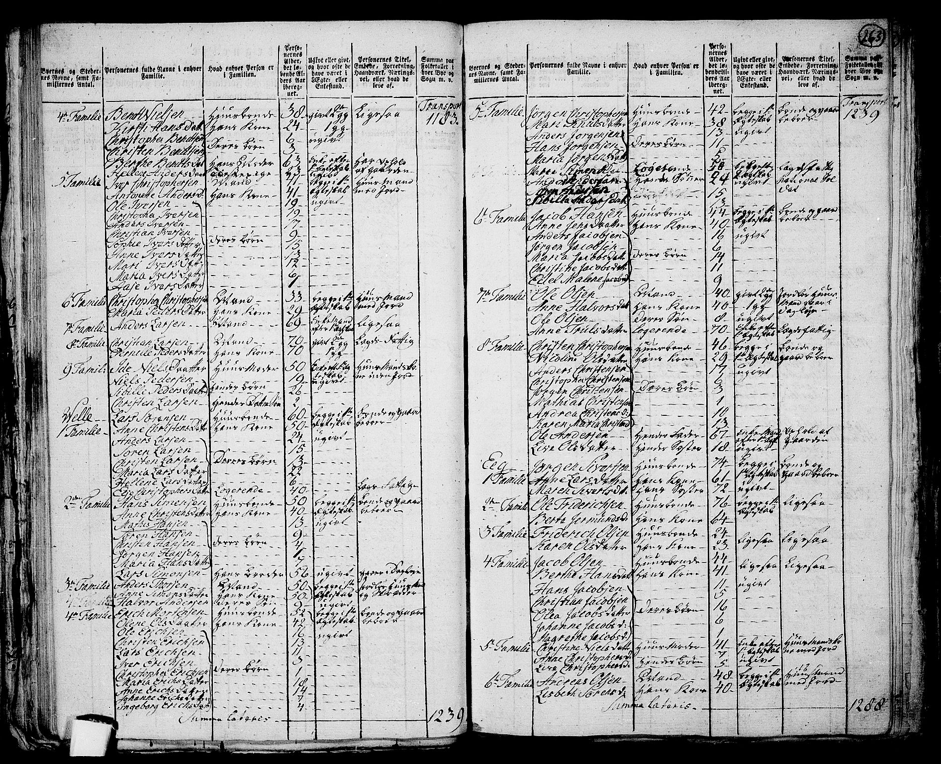 RA, 1801 census for 0721P Sem, 1801, p. 262b-263a