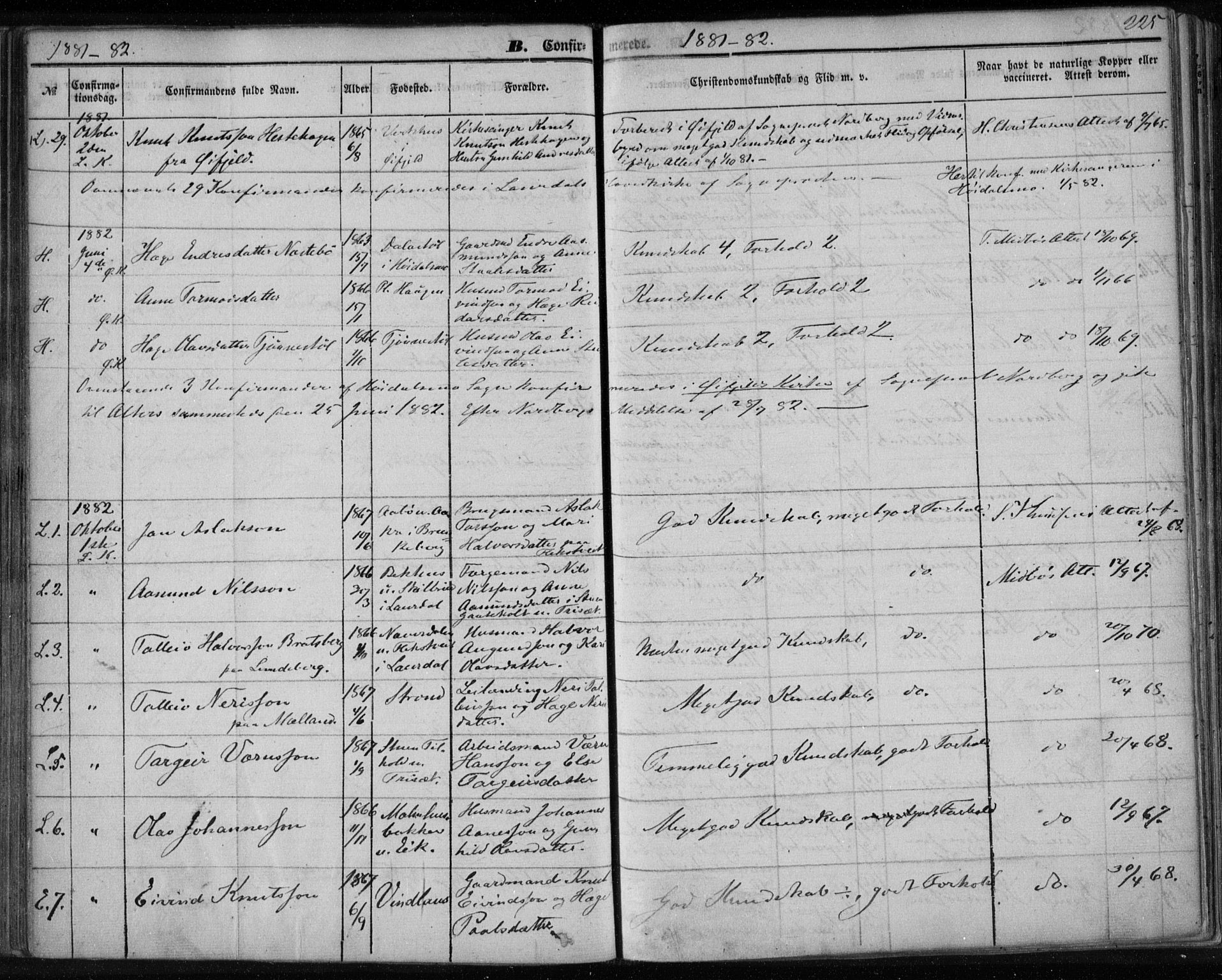 Lårdal kirkebøker, SAKO/A-284/F/Fa/L0006: Parish register (official) no. I 6, 1861-1886, p. 225