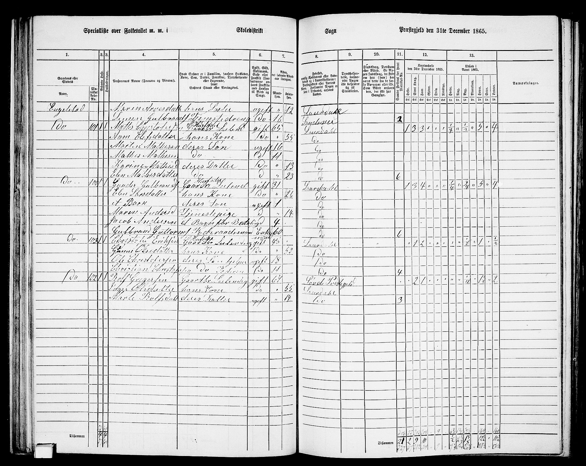 RA, 1865 census for Lardal, 1865, p. 41