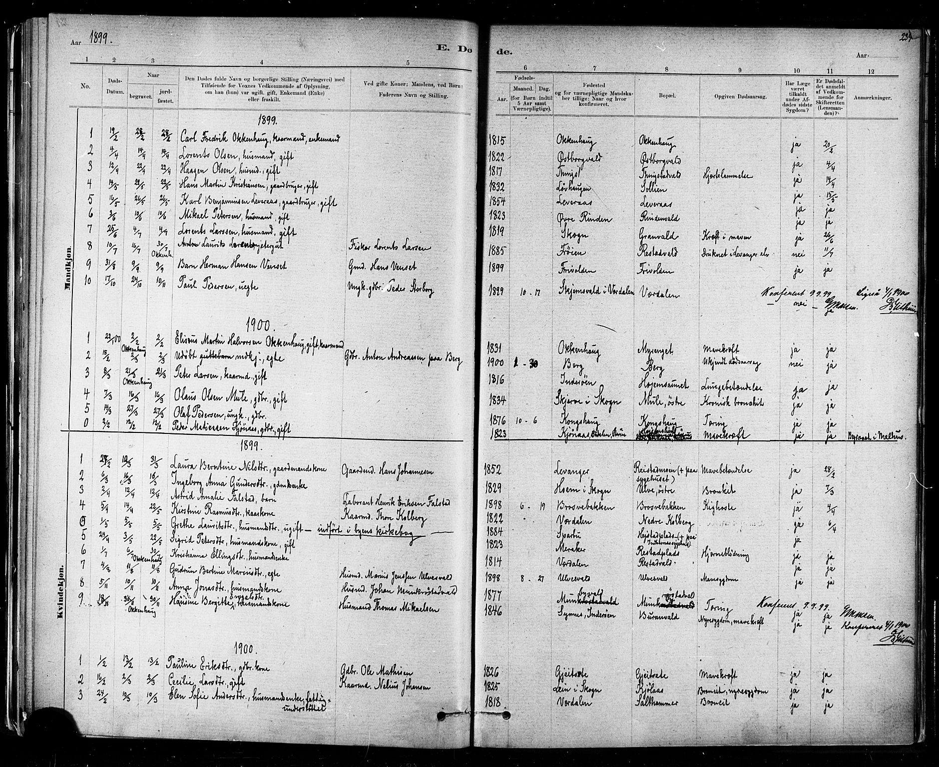 Ministerialprotokoller, klokkerbøker og fødselsregistre - Nord-Trøndelag, SAT/A-1458/721/L0208: Parish register (copy) no. 721C01, 1880-1917, p. 239