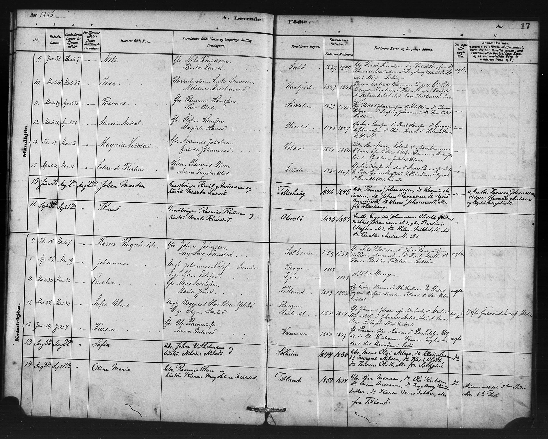 Manger sokneprestembete, AV/SAB-A-76801/H/Haa: Parish register (official) no. D 1, 1881-1892, p. 17