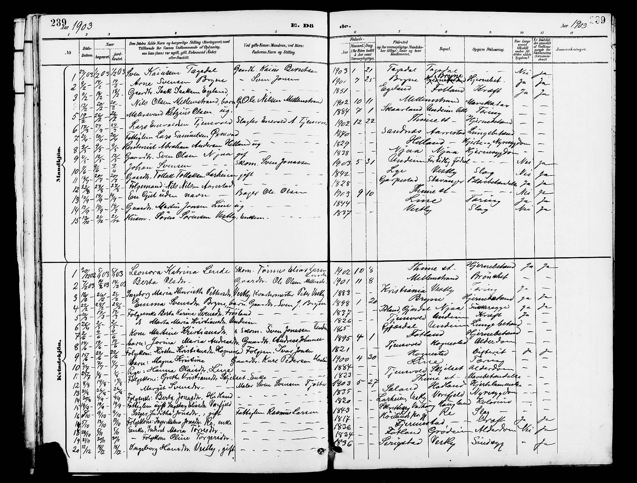 Lye sokneprestkontor, SAST/A-101794/001/30BB/L0007: Parish register (copy) no. B 8, 1889-1909, p. 239