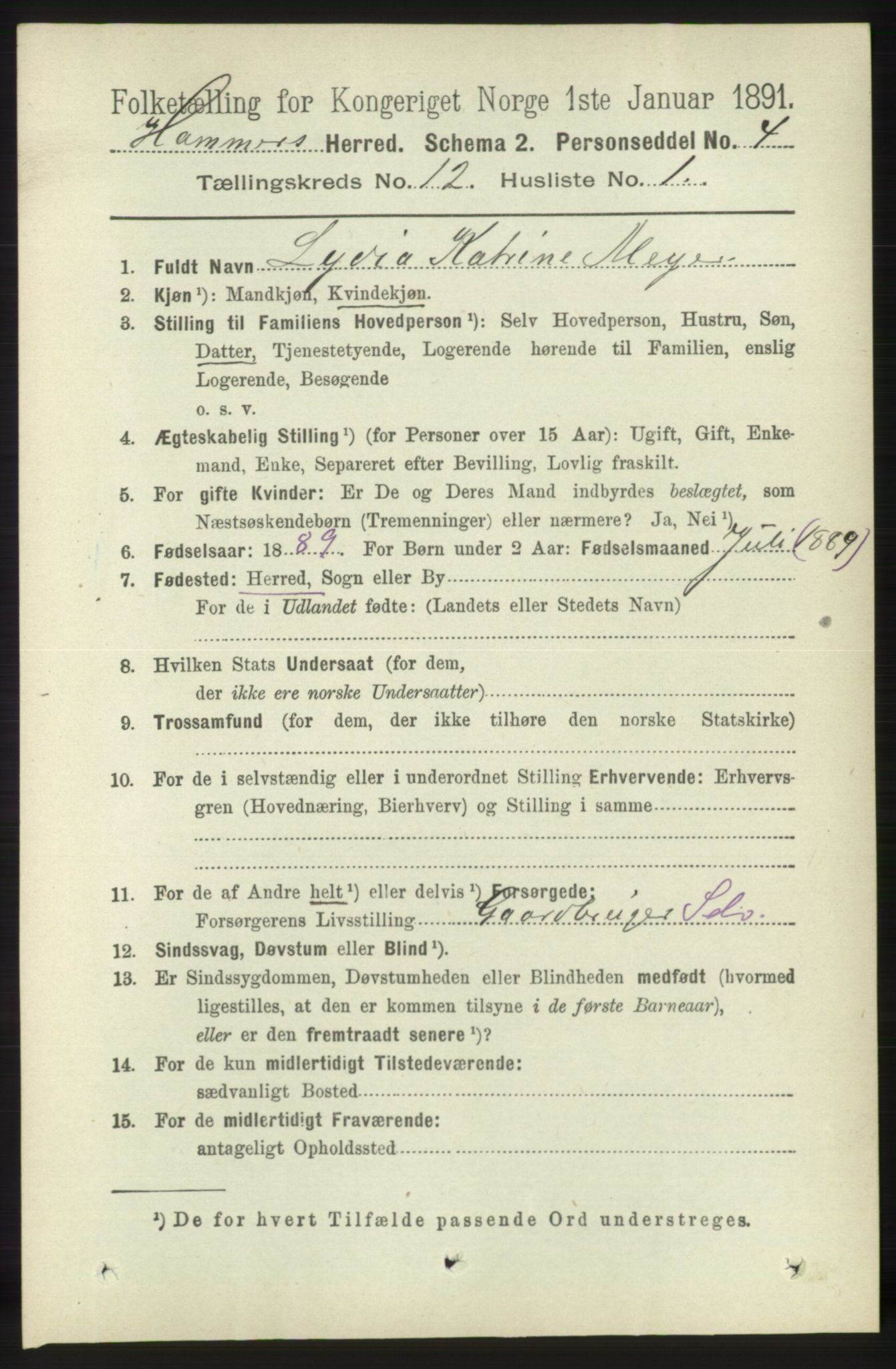 RA, 1891 census for 1254 Hamre, 1891, p. 3489