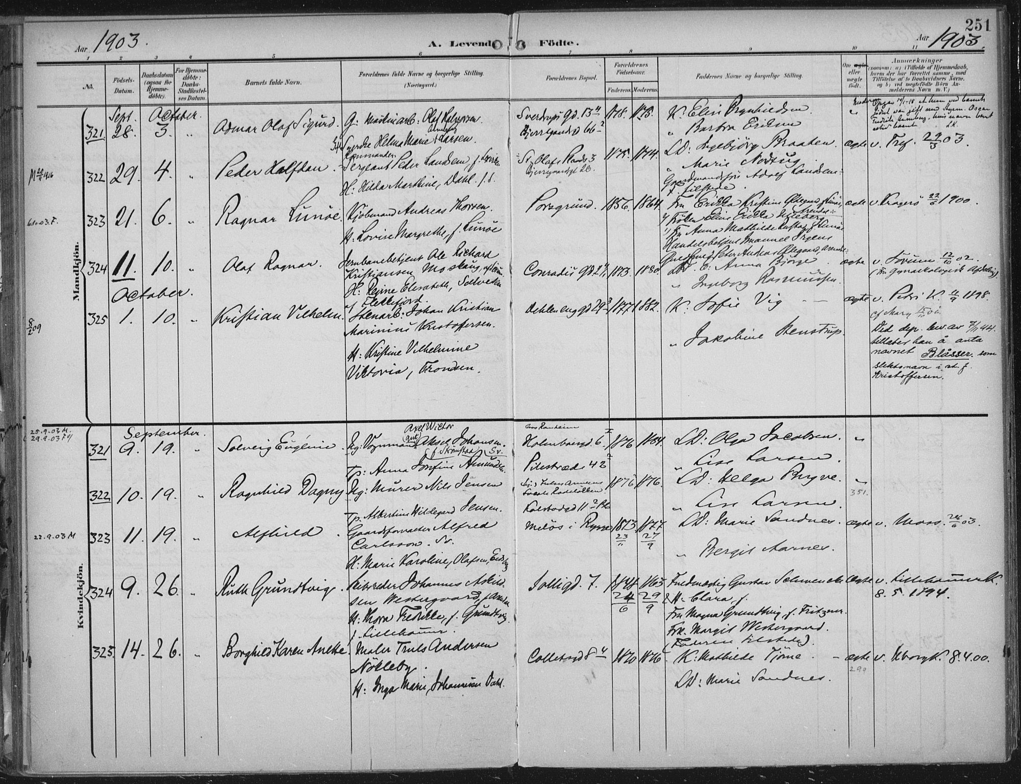 Rikshospitalet prestekontor Kirkebøker, SAO/A-10309b/F/L0012: Parish register (official) no. 12, 1901-1904, p. 251