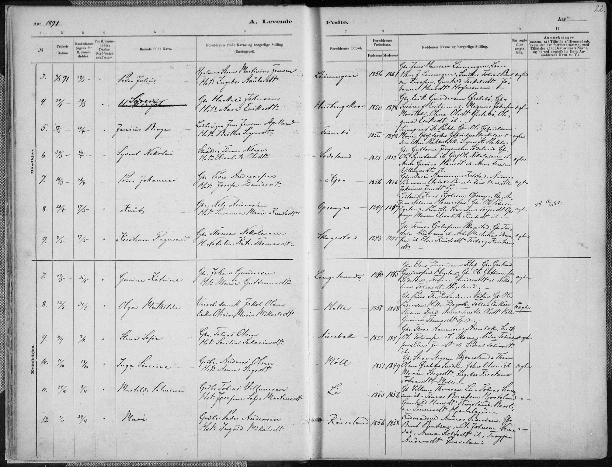 Holum sokneprestkontor, AV/SAK-1111-0022/F/Fa/Faa/L0007: Parish register (official) no. A 7, 1884-1907, p. 22