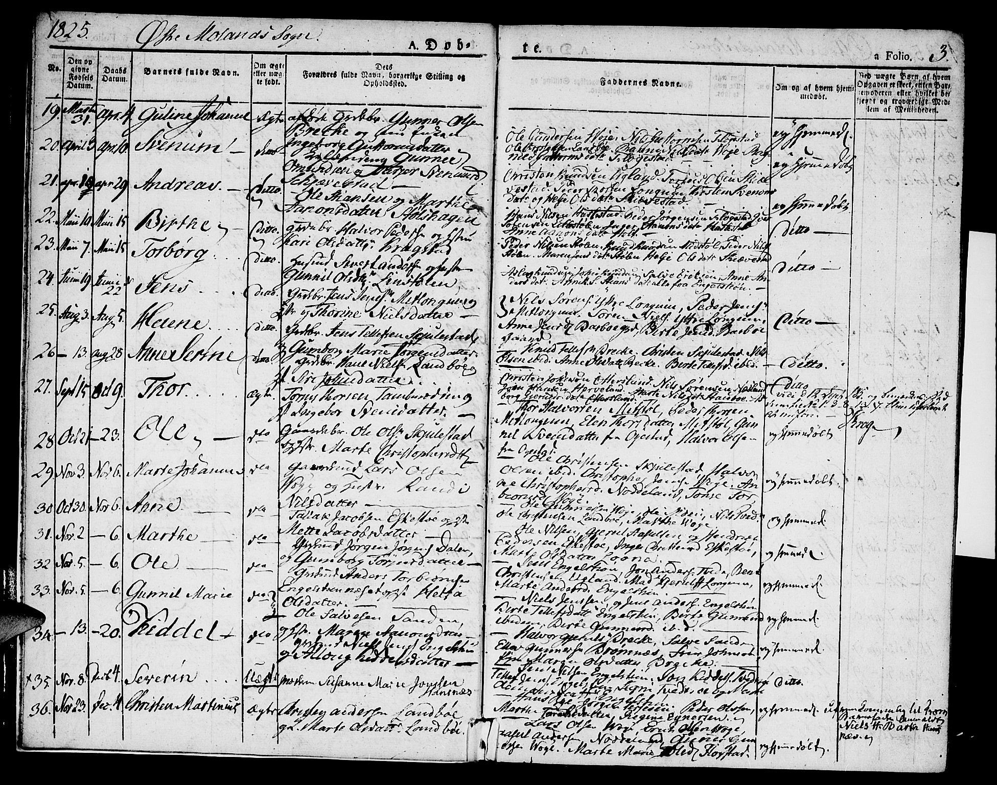 Austre Moland sokneprestkontor, SAK/1111-0001/F/Fa/Faa/L0005: Parish register (official) no. A 5, 1825-1837, p. 3