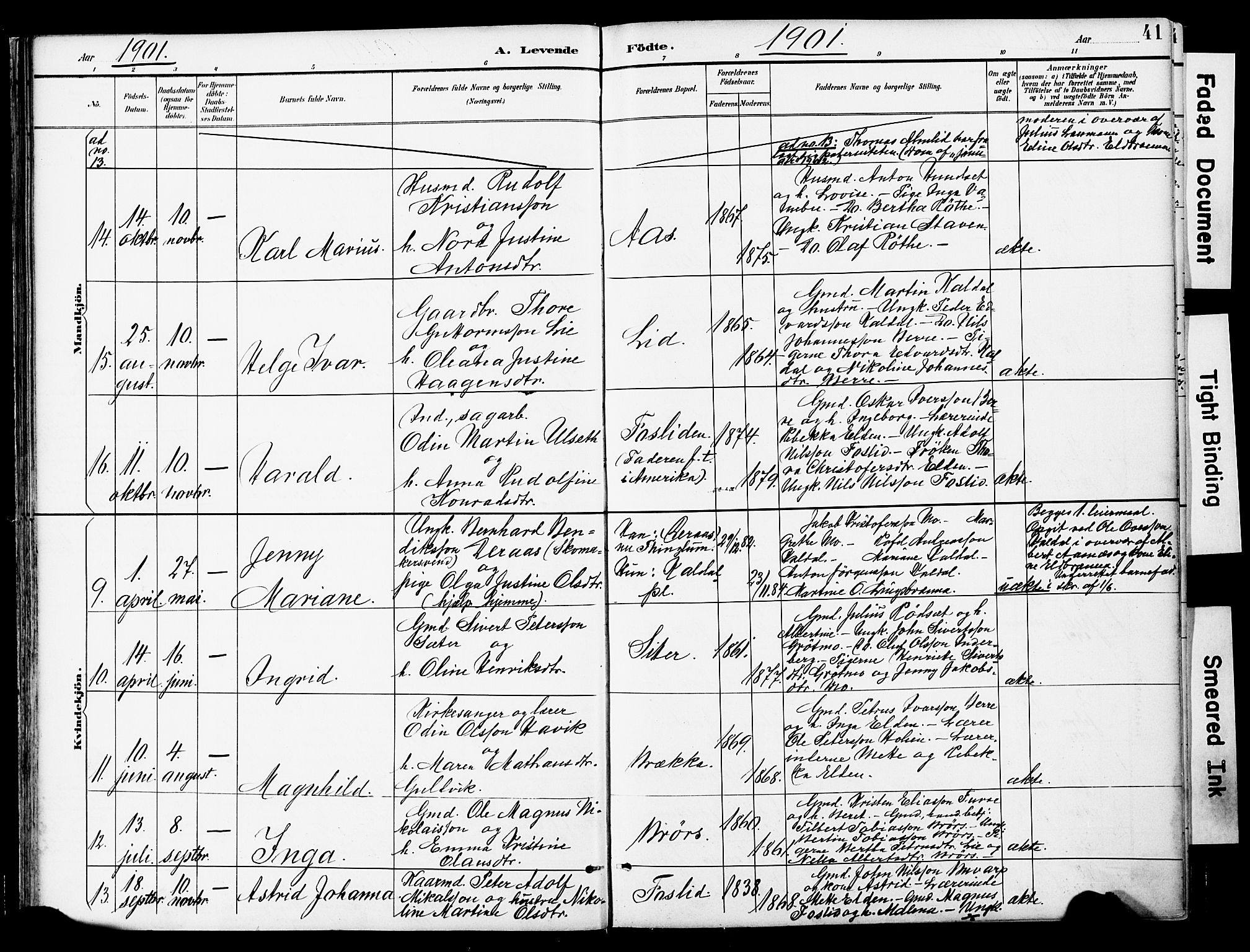 Ministerialprotokoller, klokkerbøker og fødselsregistre - Nord-Trøndelag, SAT/A-1458/742/L0409: Parish register (official) no. 742A02, 1891-1905, p. 41