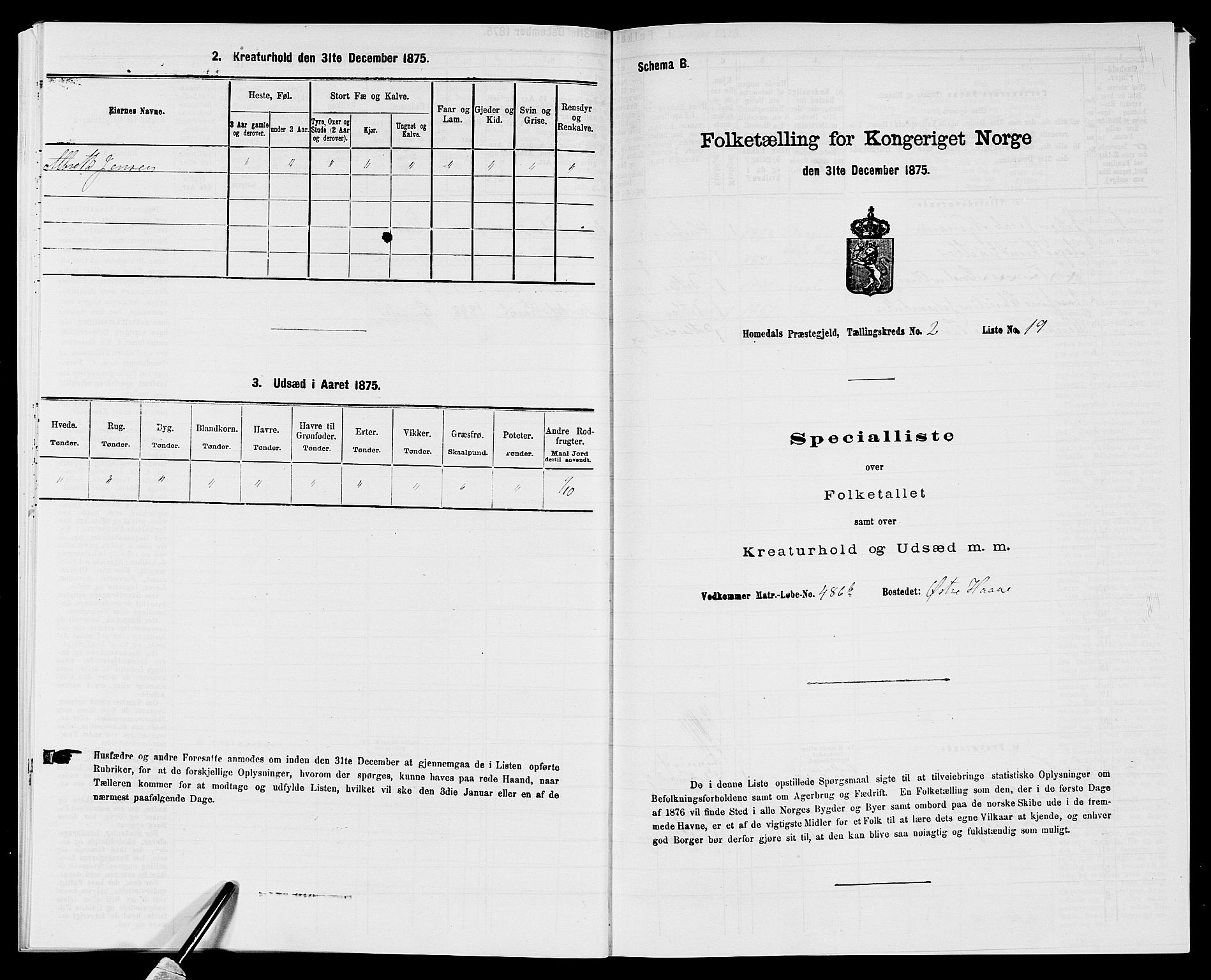 SAK, 1875 census for 0924P Homedal, 1875, p. 165