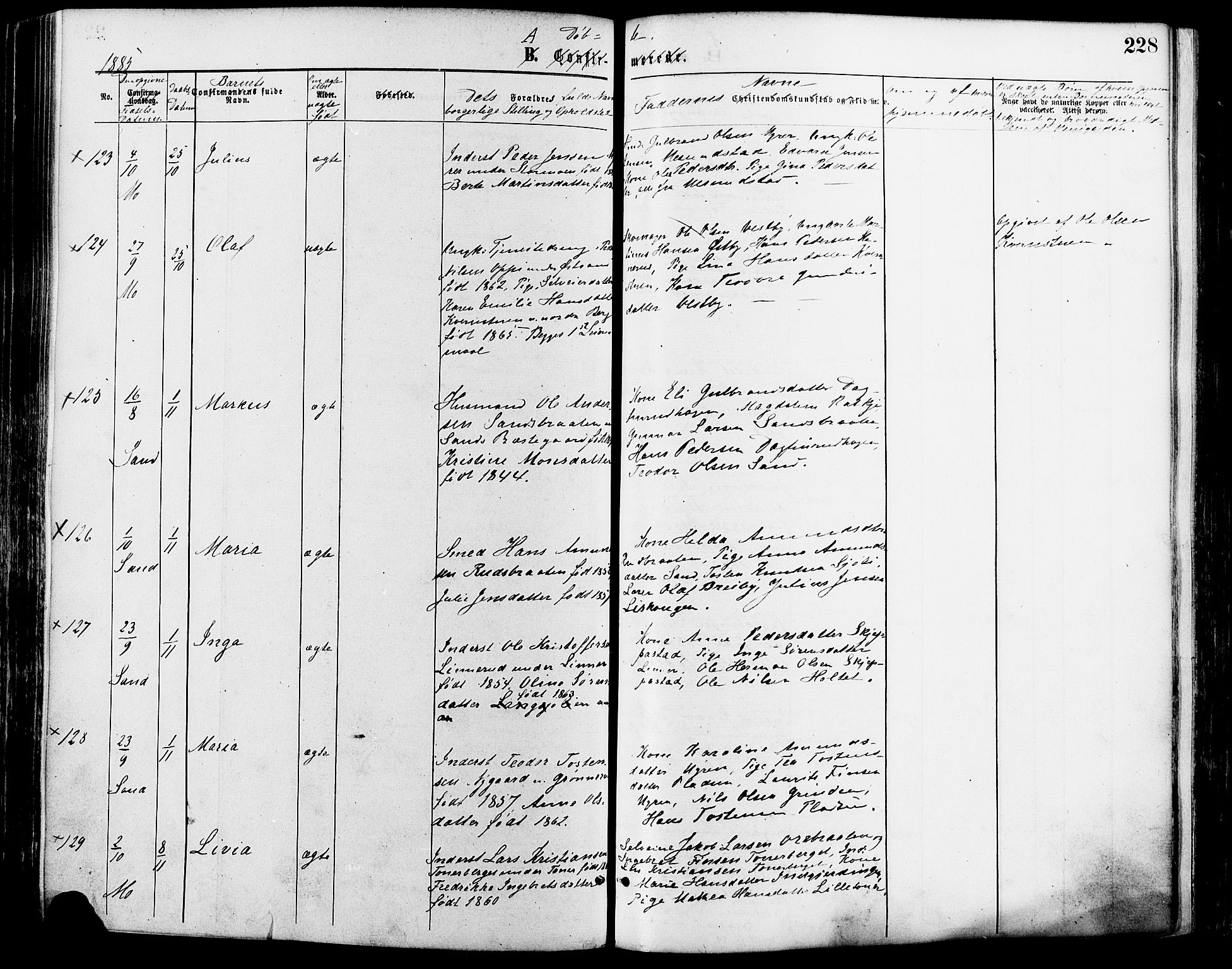 Nord-Odal prestekontor, AV/SAH-PREST-032/H/Ha/Haa/L0005: Parish register (official) no. 5, 1874-1885, p. 228