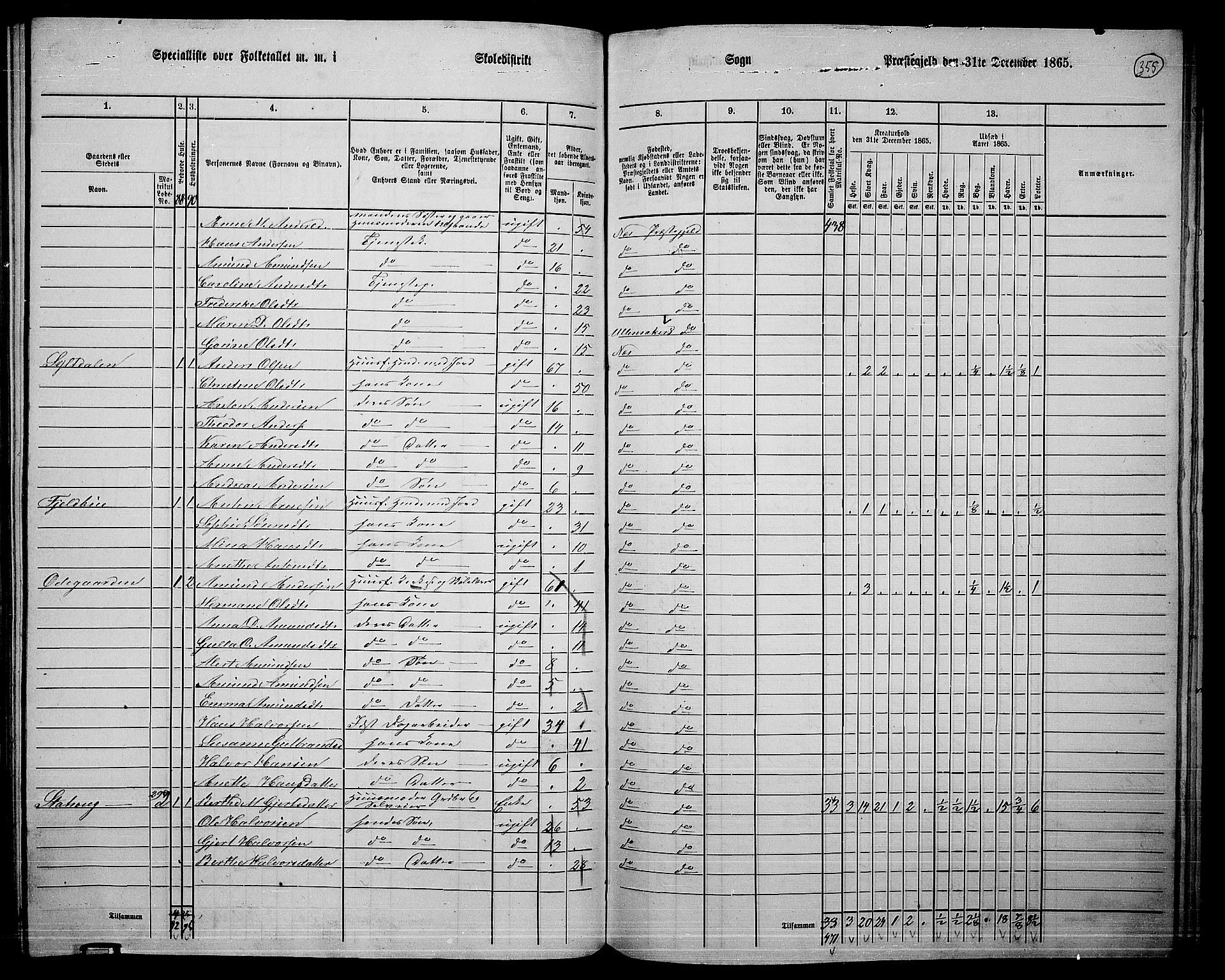 RA, 1865 census for Nes, 1865, p. 326