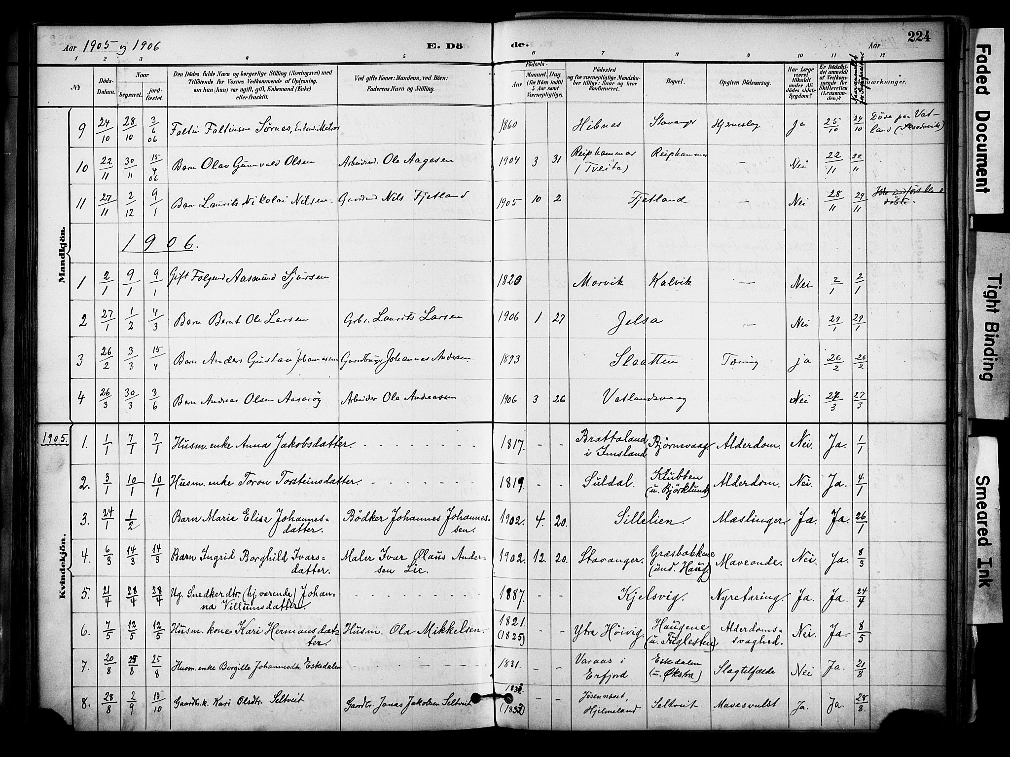 Jelsa sokneprestkontor, SAST/A-101842/01/IV: Parish register (official) no. A 10, 1884-1906, p. 224