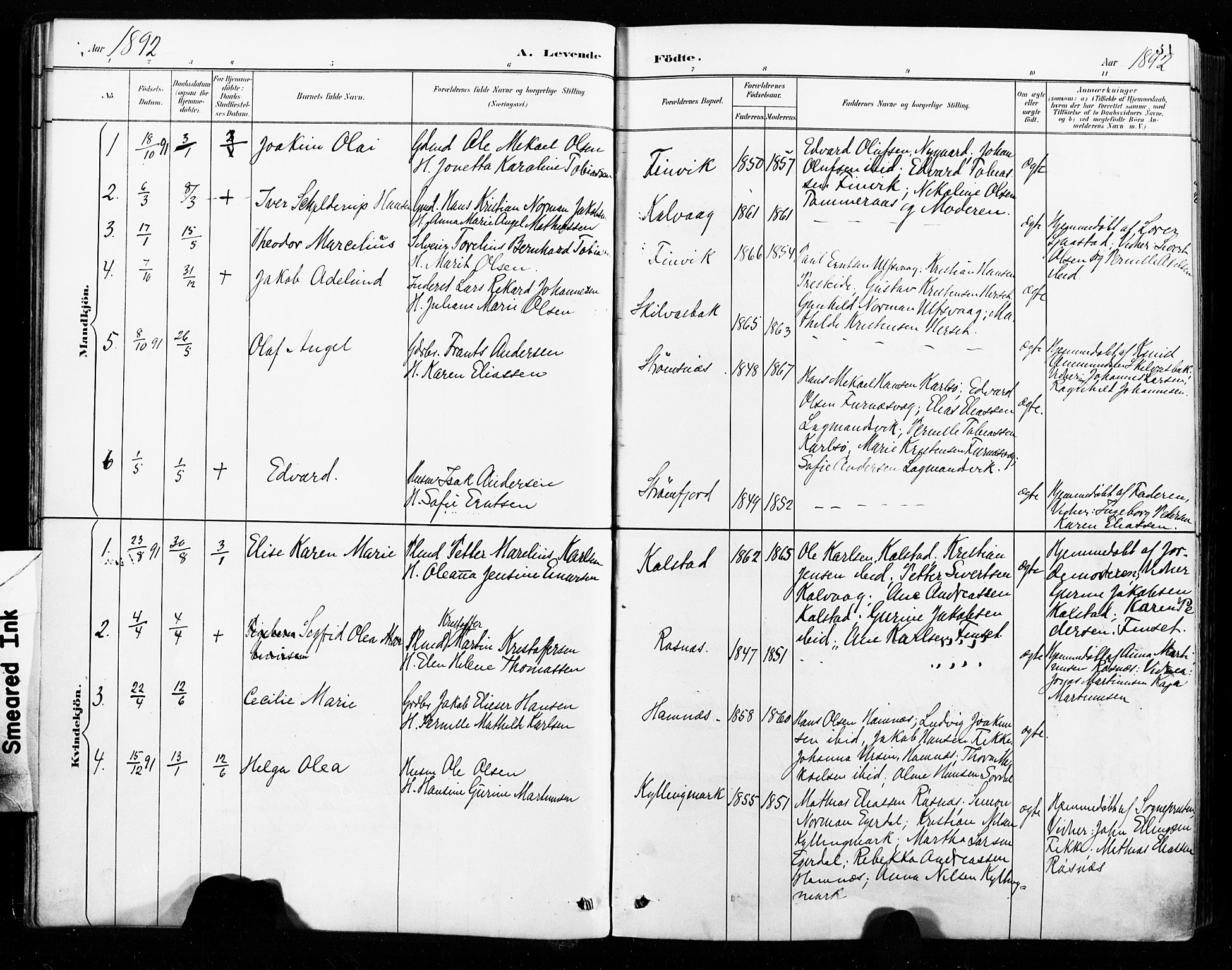Ministerialprotokoller, klokkerbøker og fødselsregistre - Nordland, SAT/A-1459/859/L0847: Parish register (official) no. 859A07, 1890-1899, p. 31