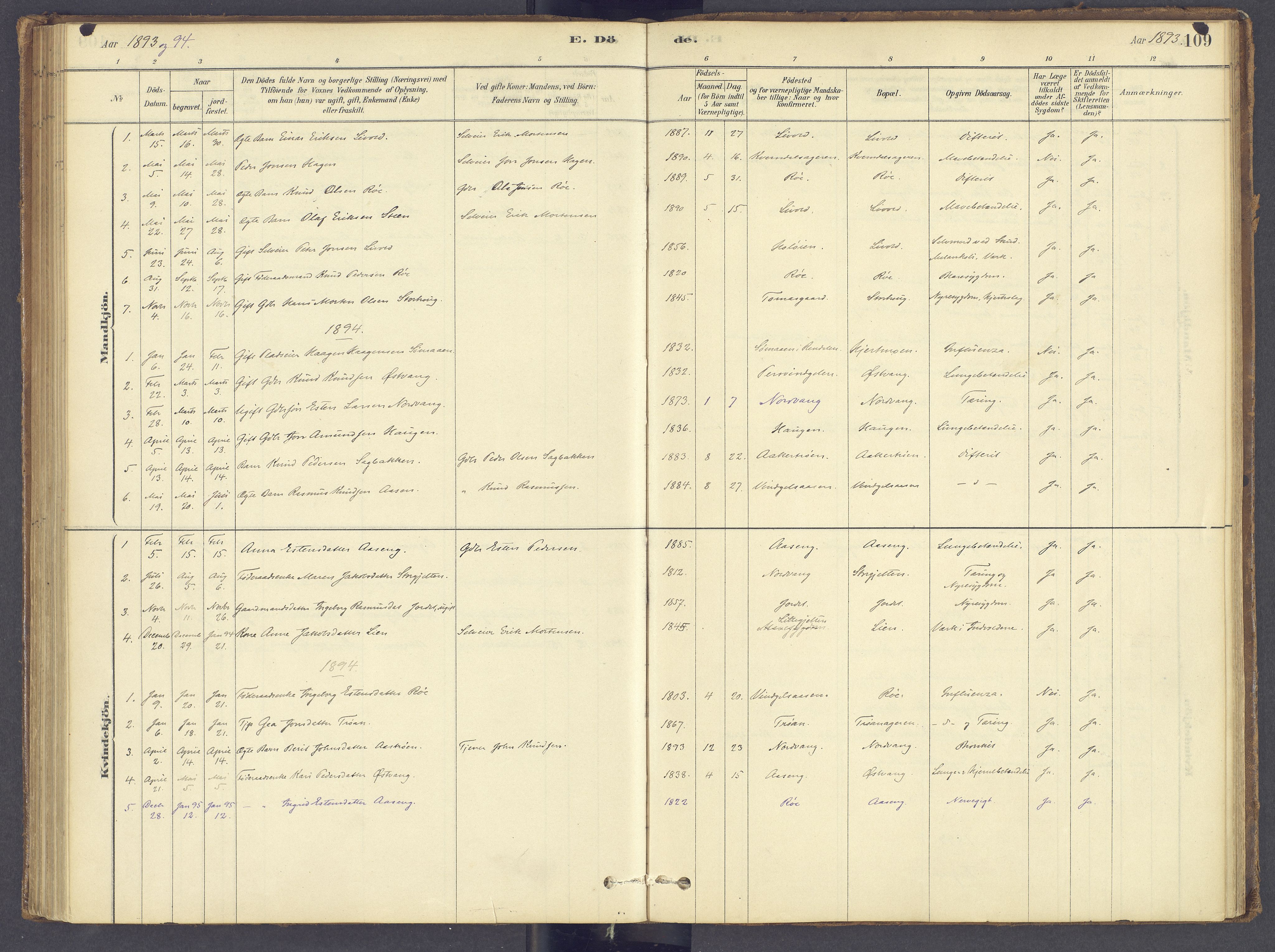 Tolga prestekontor, SAH/PREST-062/K/L0012: Parish register (official) no. 12, 1877-1925, p. 109