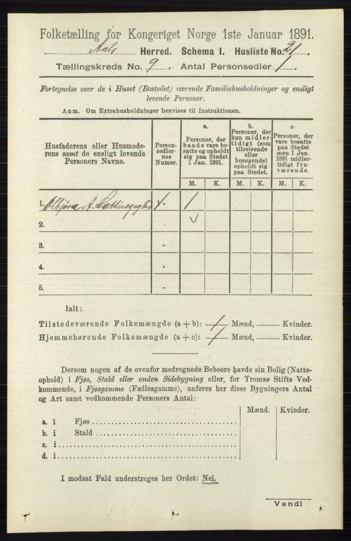 RA, 1891 census for 0619 Ål, 1891, p. 2467