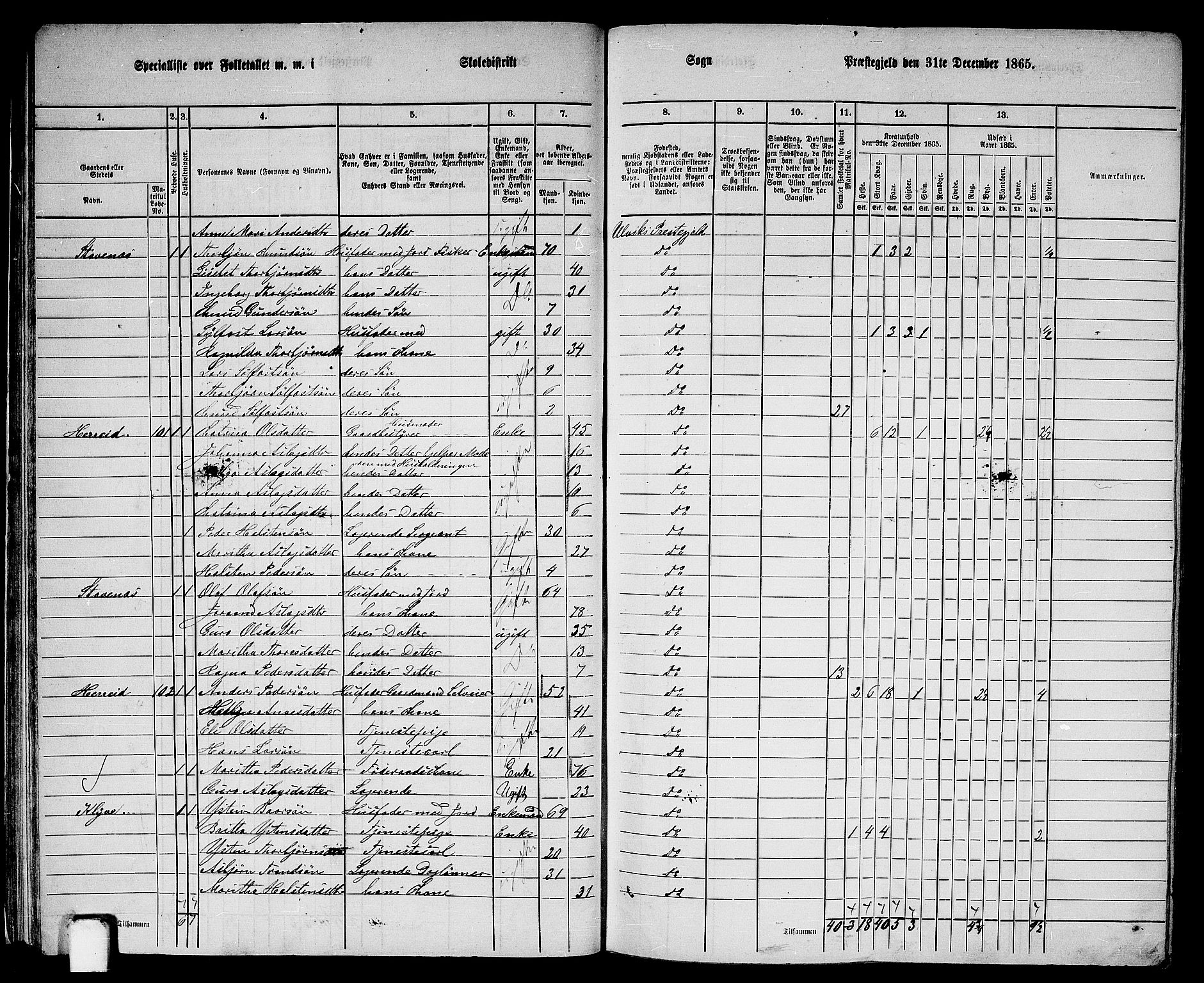 RA, 1865 census for Ulvik, 1865, p. 33