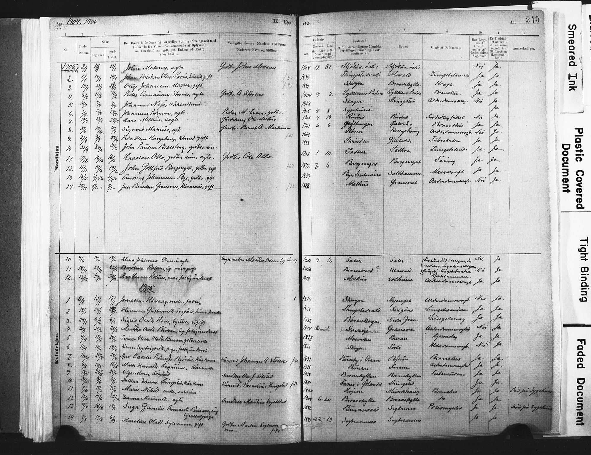 Ministerialprotokoller, klokkerbøker og fødselsregistre - Nord-Trøndelag, SAT/A-1458/721/L0207: Parish register (official) no. 721A02, 1880-1911, p. 245
