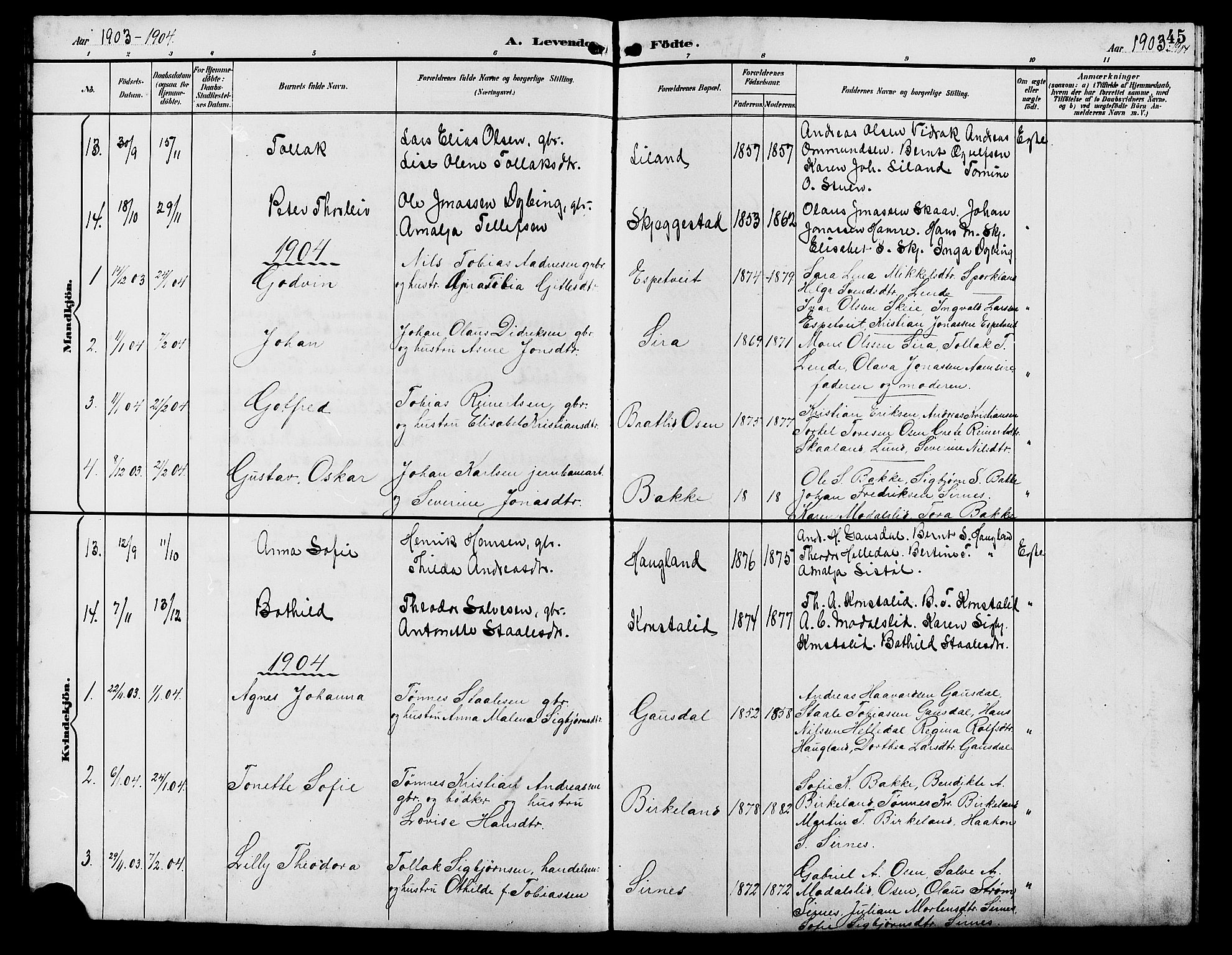 Bakke sokneprestkontor, SAK/1111-0002/F/Fb/Fba/L0003: Parish register (copy) no. B 3, 1894-1910, p. 45