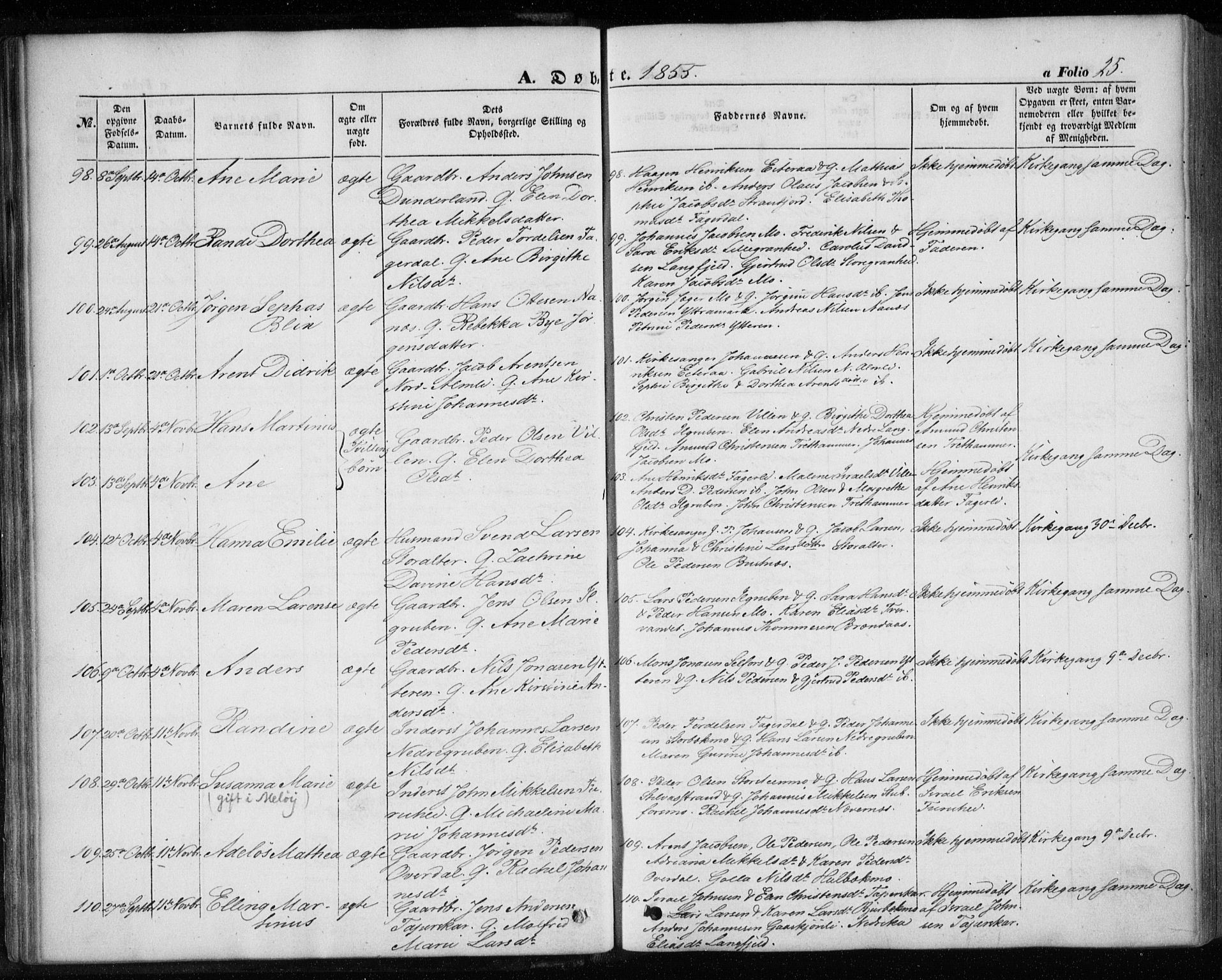 Ministerialprotokoller, klokkerbøker og fødselsregistre - Nordland, AV/SAT-A-1459/827/L0392: Parish register (official) no. 827A04, 1853-1866, p. 25