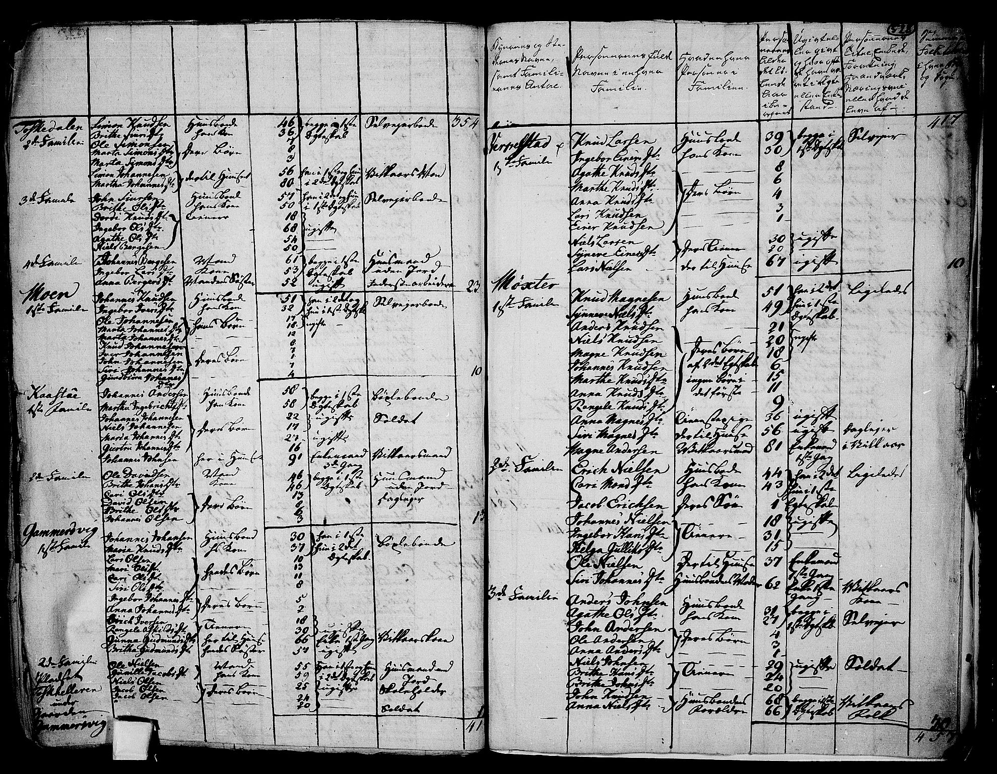 RA, 1801 census for 1250P Haus, 1801, p. 527b-528a