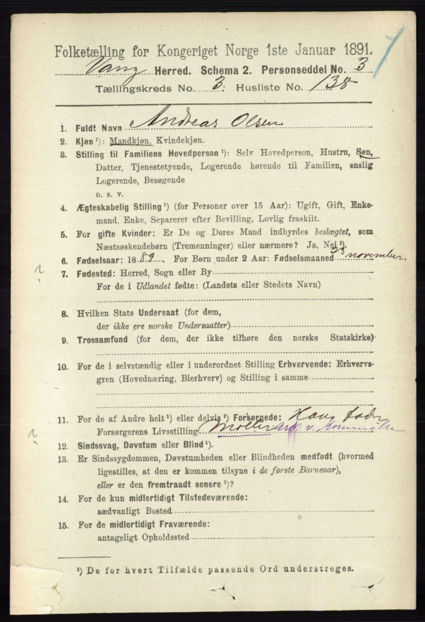 RA, 1891 census for 0414 Vang, 1891, p. 2626