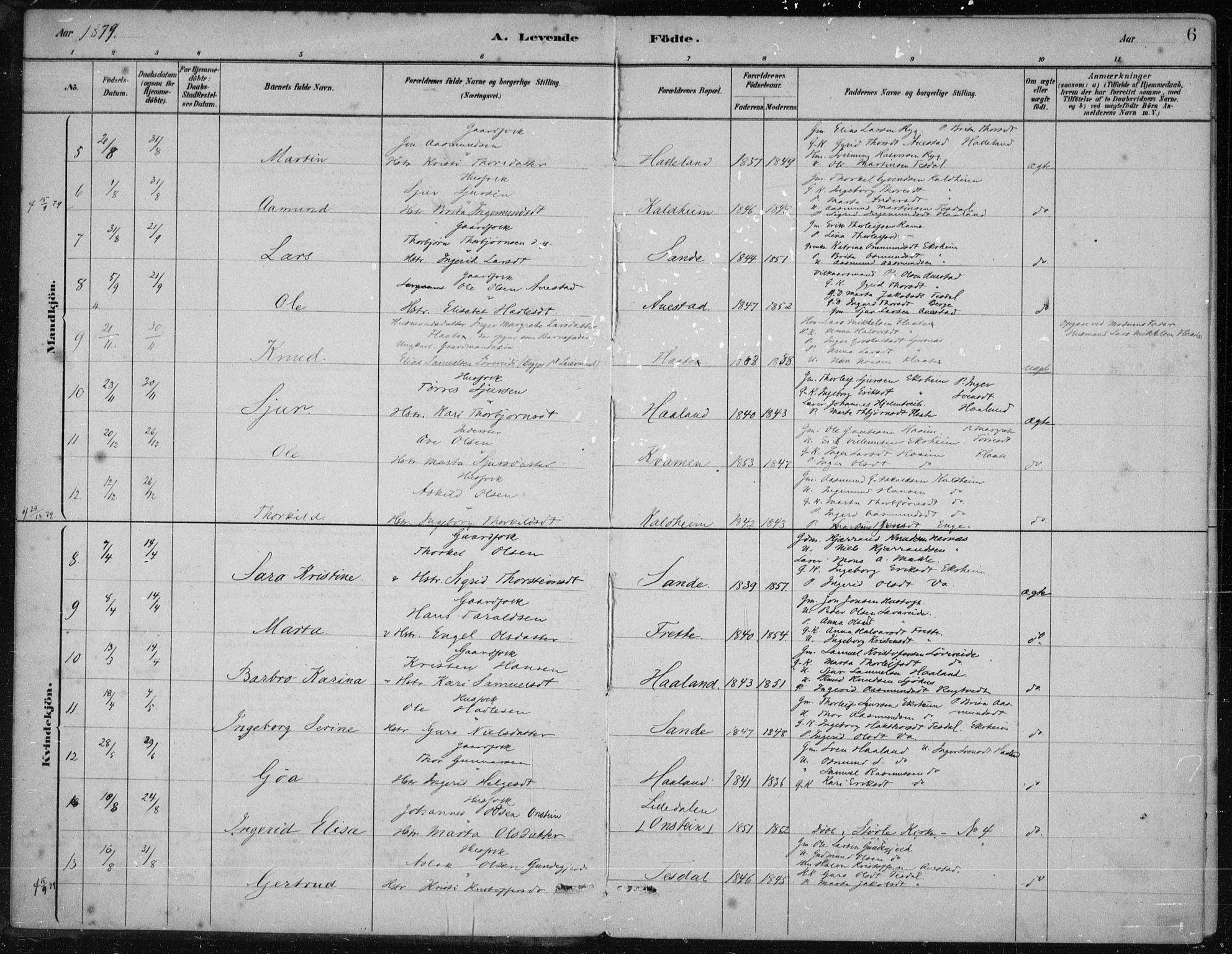 Etne sokneprestembete, AV/SAB-A-75001/H/Haa: Parish register (official) no. D  1, 1879-1919, p. 6