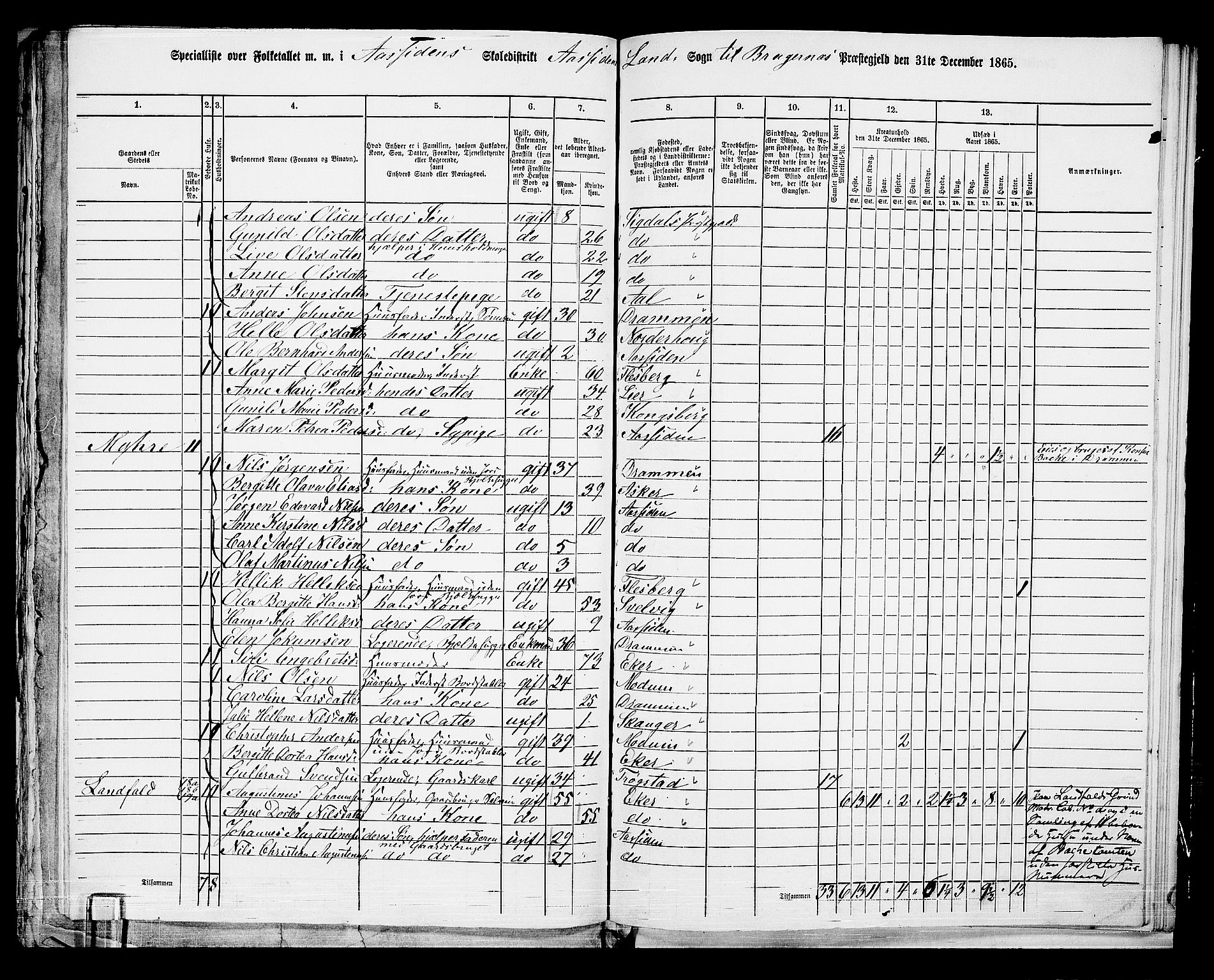 RA, 1865 census for Bragernes/Åssiden, 1865, p. 9