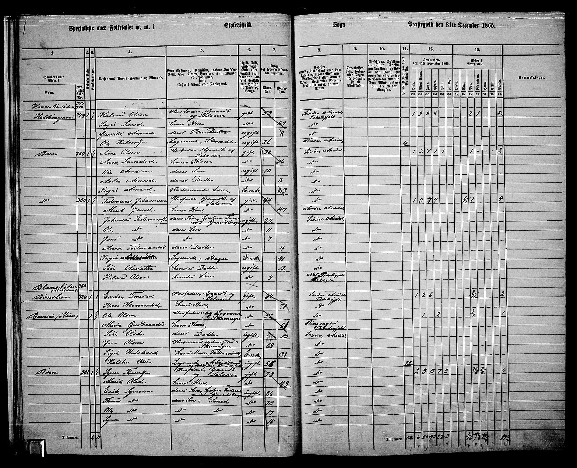 RA, 1865 census for Sør-Aurdal, 1865, p. 30