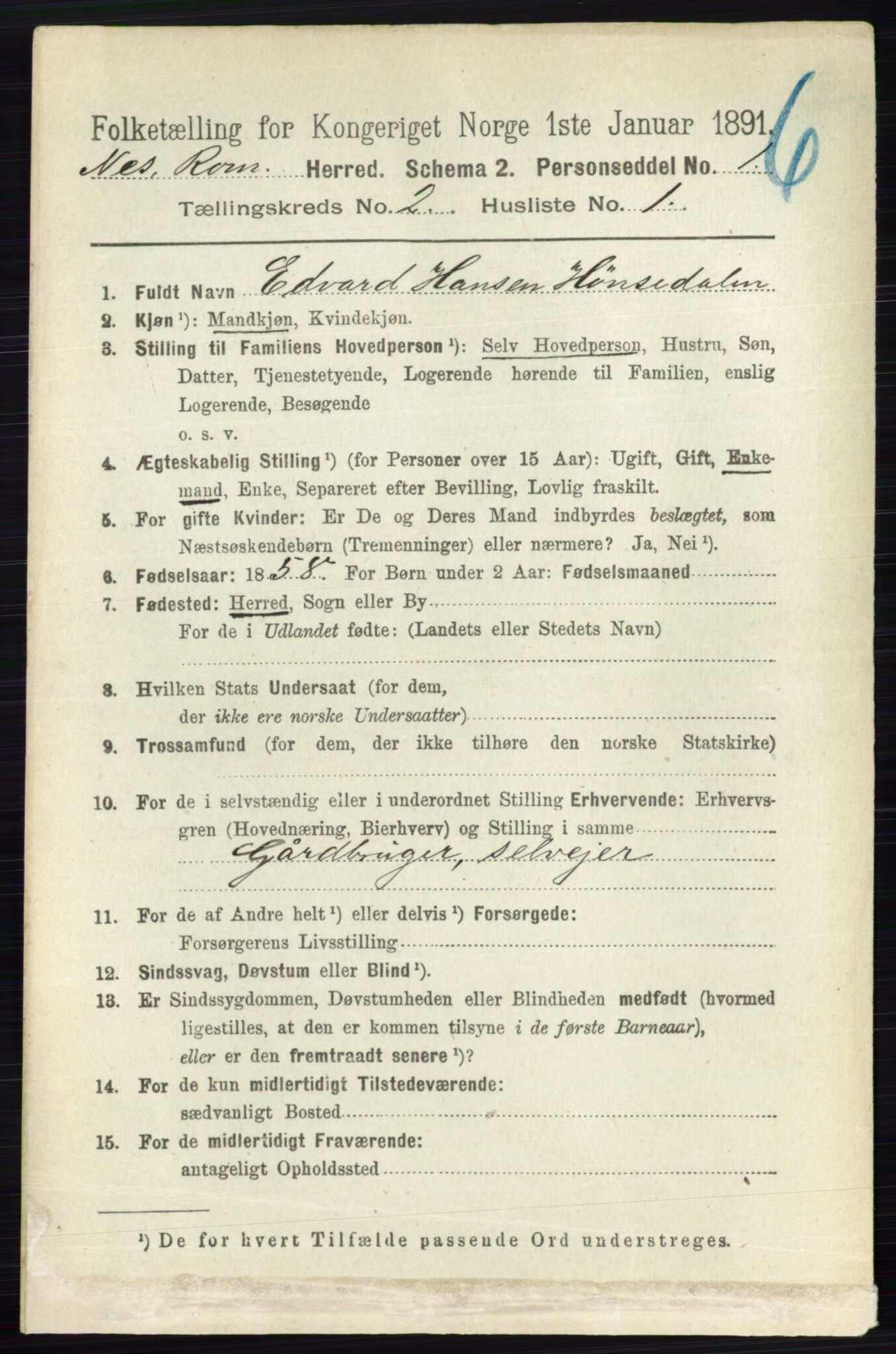 RA, 1891 census for 0236 Nes, 1891, p. 939