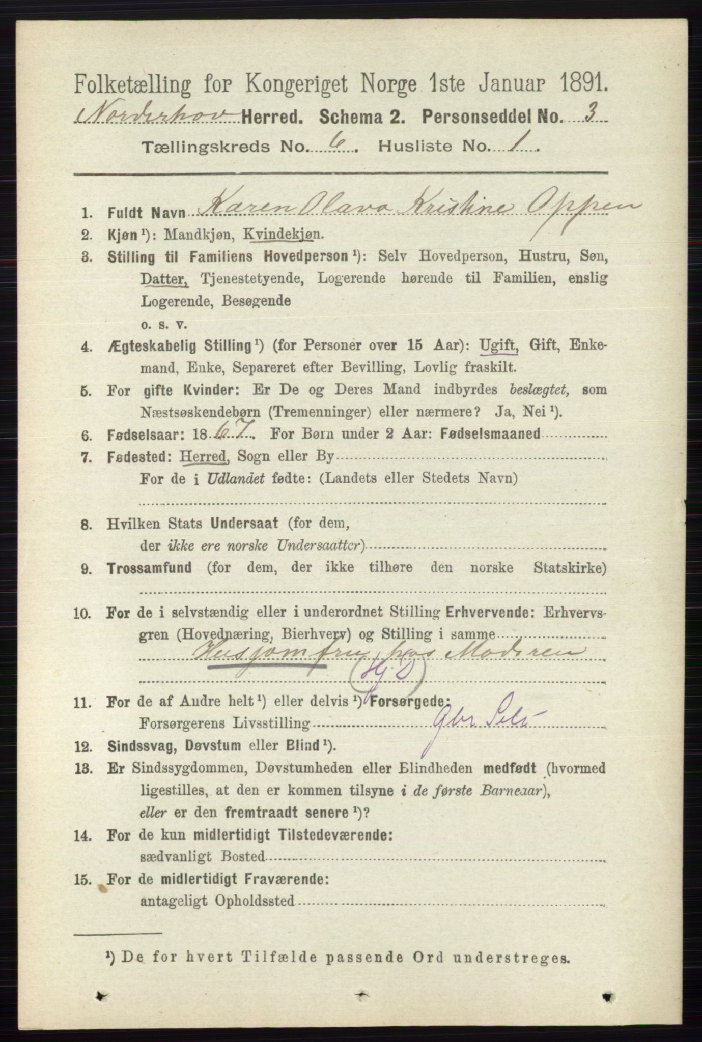 RA, 1891 census for 0613 Norderhov, 1891, p. 4000