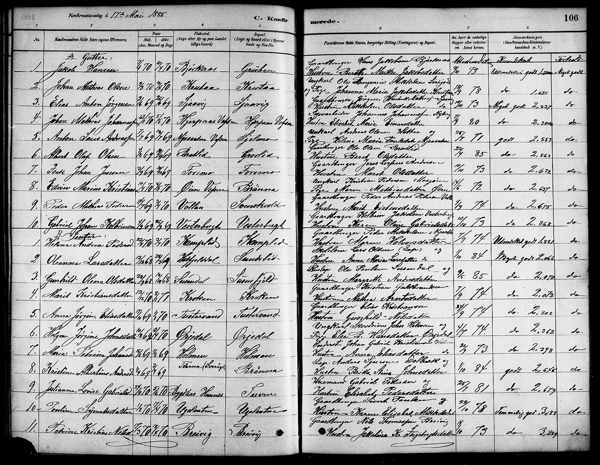 Ministerialprotokoller, klokkerbøker og fødselsregistre - Nordland, SAT/A-1459/823/L0330: Parish register (copy) no. 823C02, 1879-1916, p. 106
