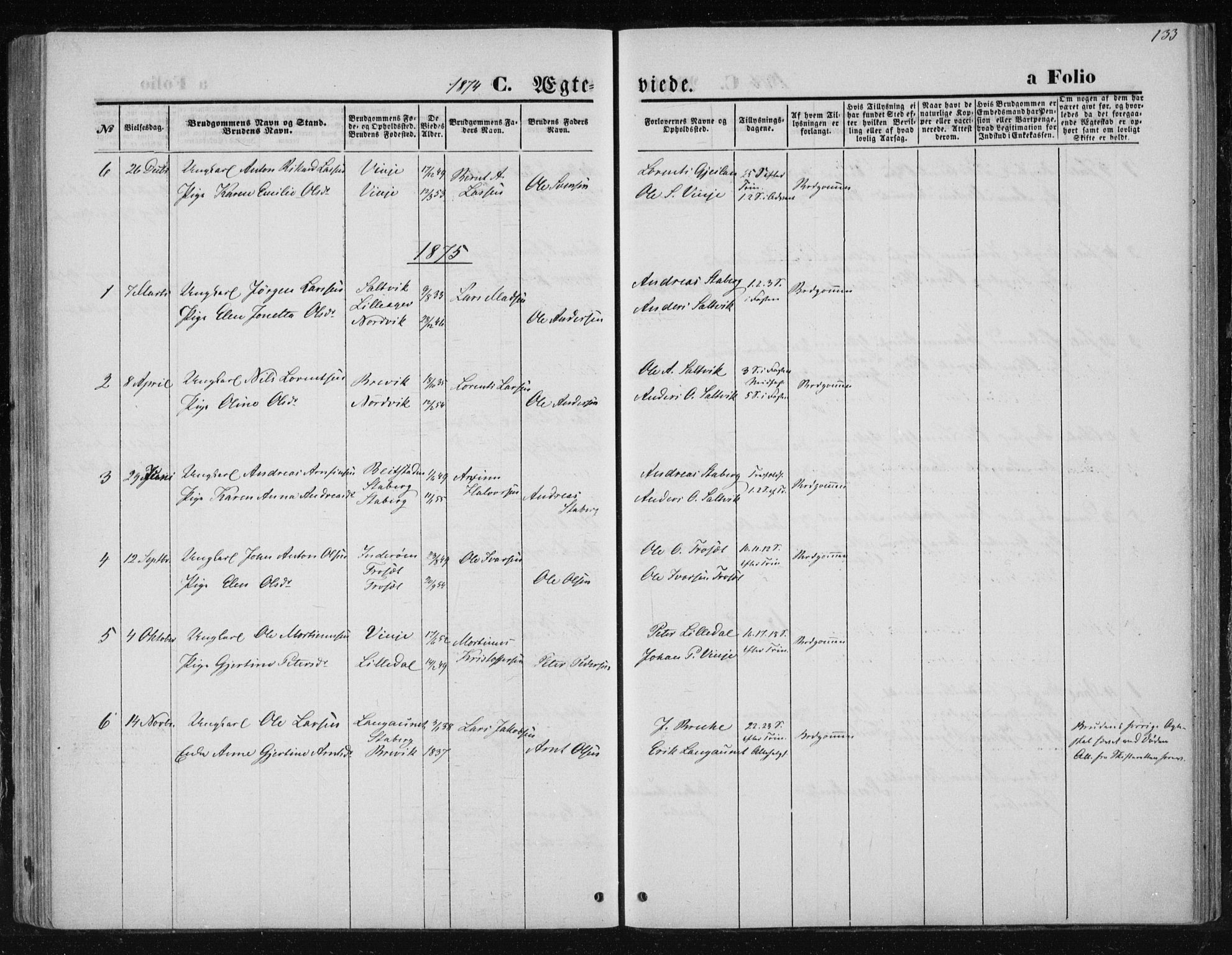 Ministerialprotokoller, klokkerbøker og fødselsregistre - Nord-Trøndelag, AV/SAT-A-1458/733/L0324: Parish register (official) no. 733A03, 1870-1883, p. 133