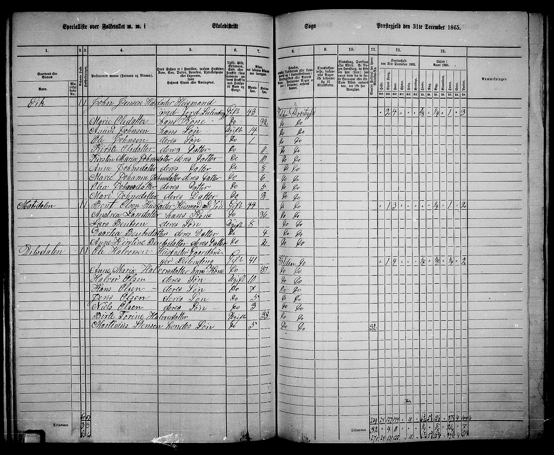 RA, 1865 census for Holla, 1865, p. 99