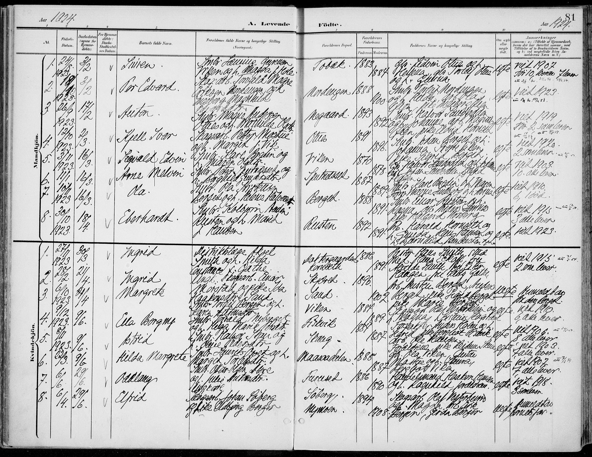 Rendalen prestekontor, SAH/PREST-054/H/Ha/Haa/L0011: Parish register (official) no. 11, 1901-1925, p. 81