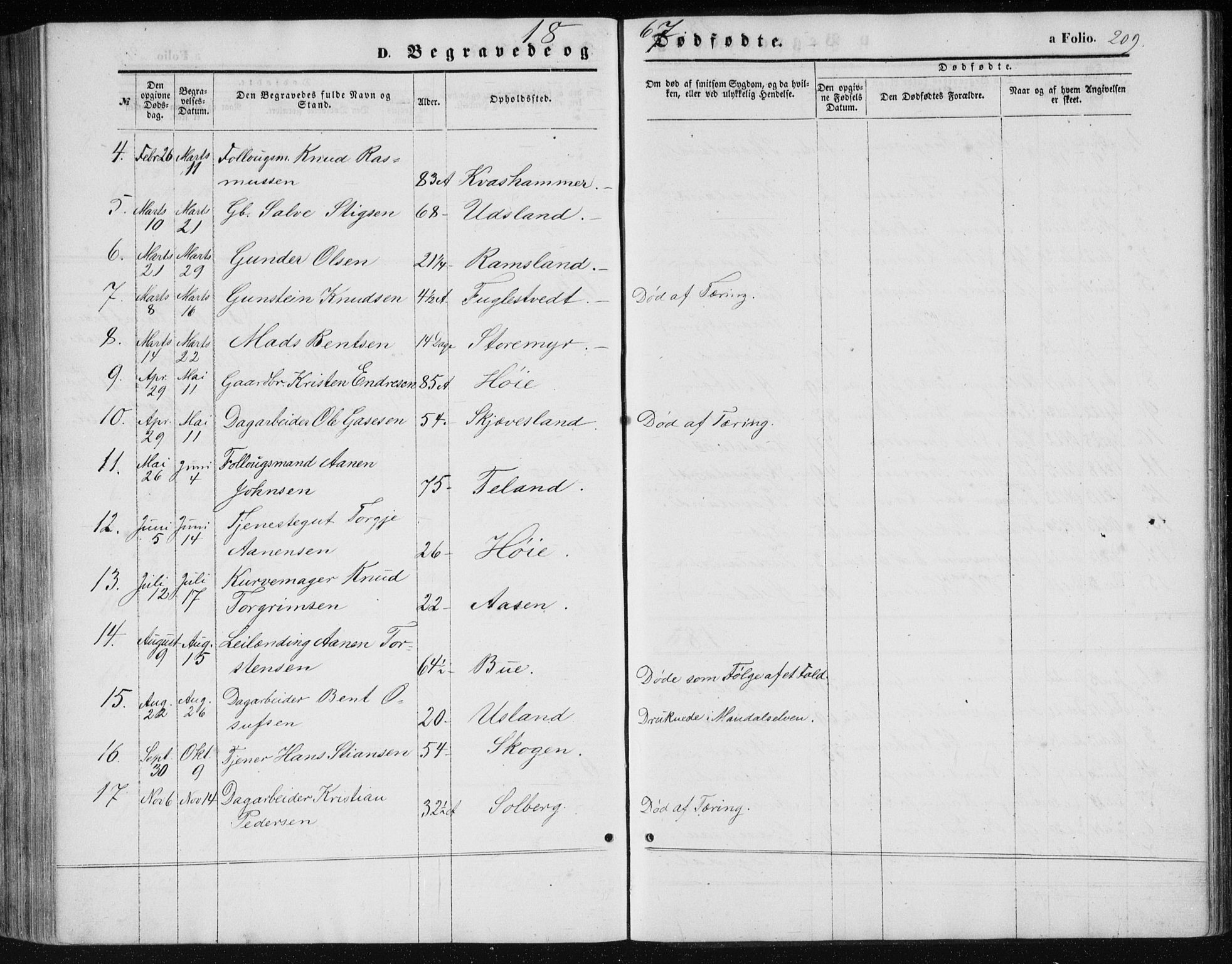 Holum sokneprestkontor, AV/SAK-1111-0022/F/Fb/Fbc/L0002: Parish register (copy) no. B 2, 1860-1882, p. 209