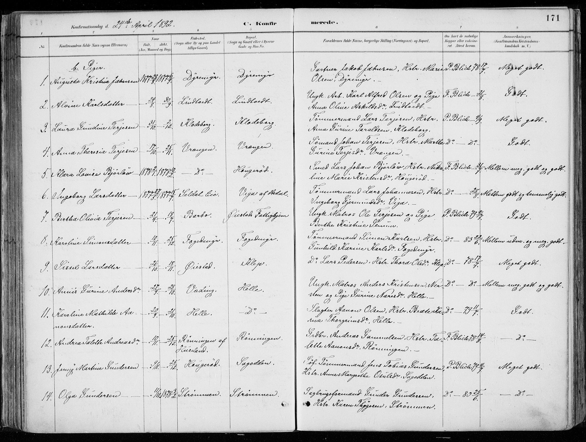 Øyestad sokneprestkontor, AV/SAK-1111-0049/F/Fa/L0017: Parish register (official) no. A 17, 1887-1896, p. 171