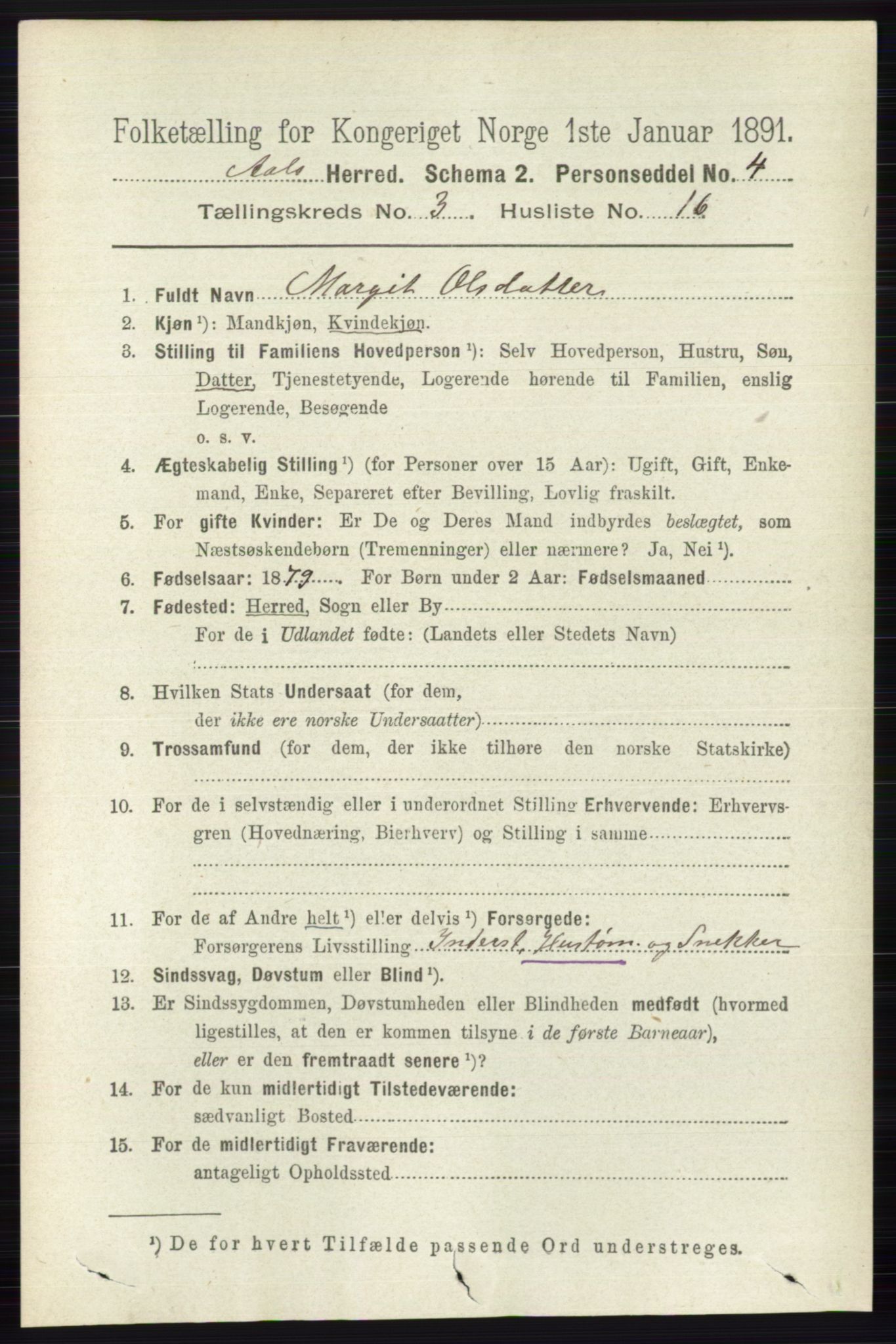 RA, 1891 census for 0619 Ål, 1891, p. 747