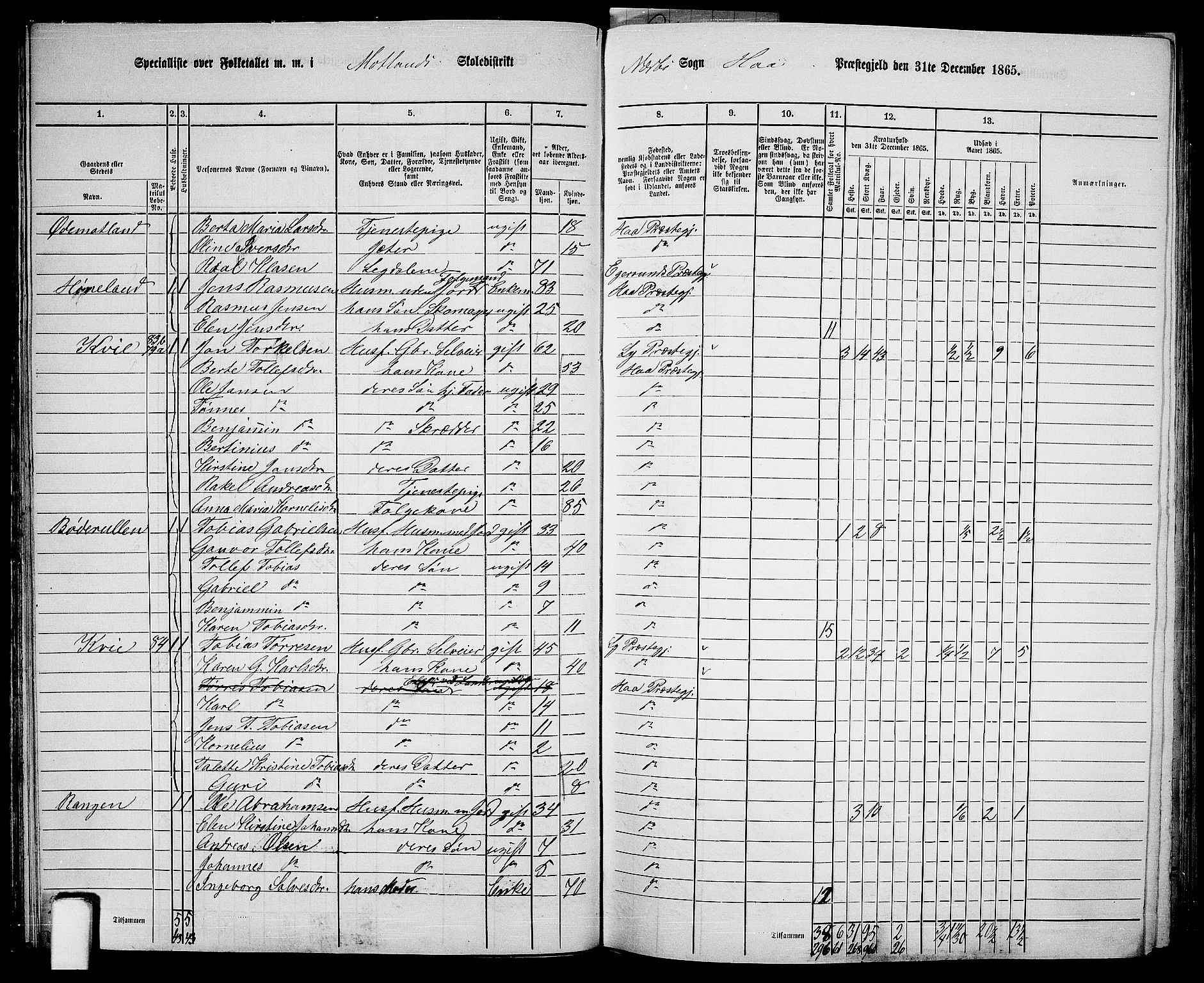 RA, 1865 census for Hå, 1865, p. 44