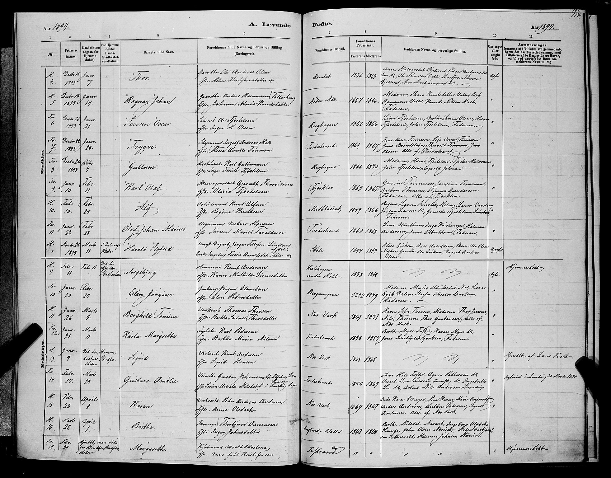 Holt sokneprestkontor, SAK/1111-0021/F/Fb/L0010: Parish register (copy) no. B 10, 1883-1896, p. 114