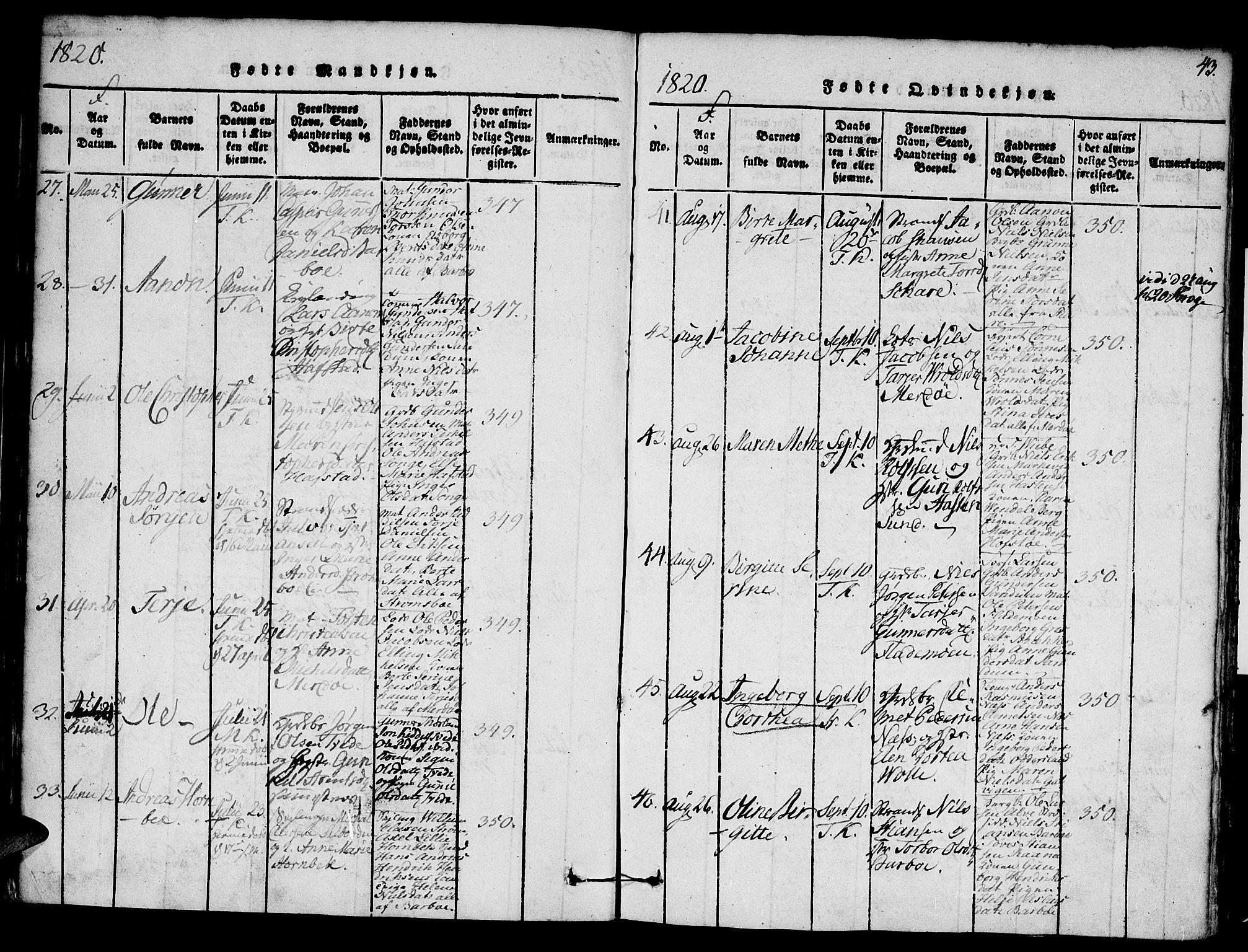 Austre Moland sokneprestkontor, SAK/1111-0001/F/Fa/Faa/L0004: Parish register (official) no. A 4, 1816-1824, p. 43