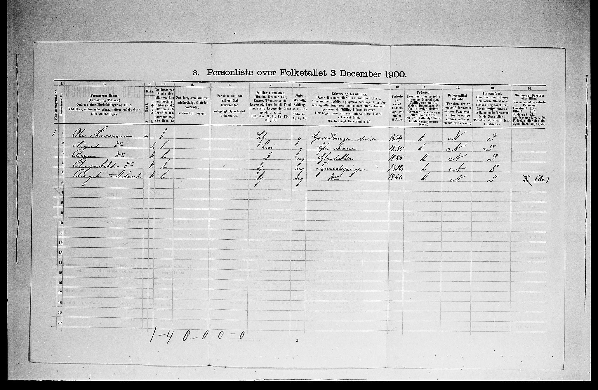 SAKO, 1900 census for Tinn, 1900, p. 542