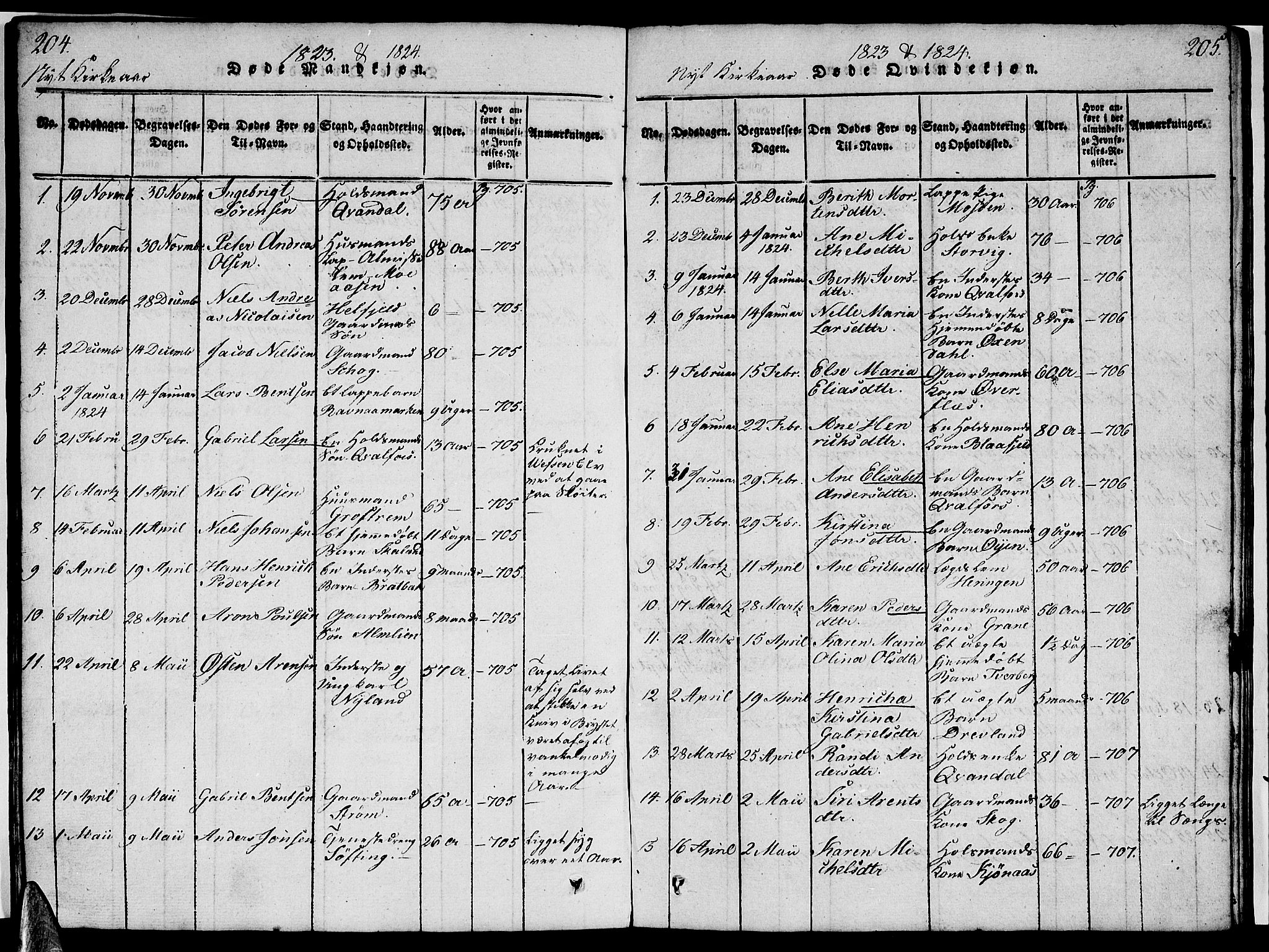 Ministerialprotokoller, klokkerbøker og fødselsregistre - Nordland, AV/SAT-A-1459/820/L0299: Parish register (copy) no. 820C01, 1820-1825, p. 204-205