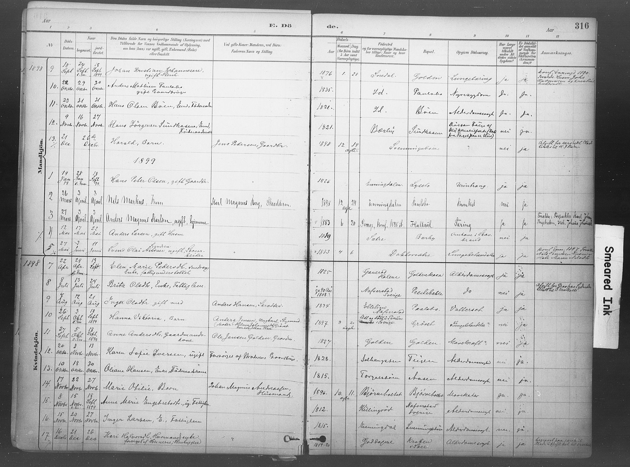 Idd prestekontor Kirkebøker, SAO/A-10911/F/Fb/L0002: Parish register (official) no. II 2, 1882-1923, p. 316