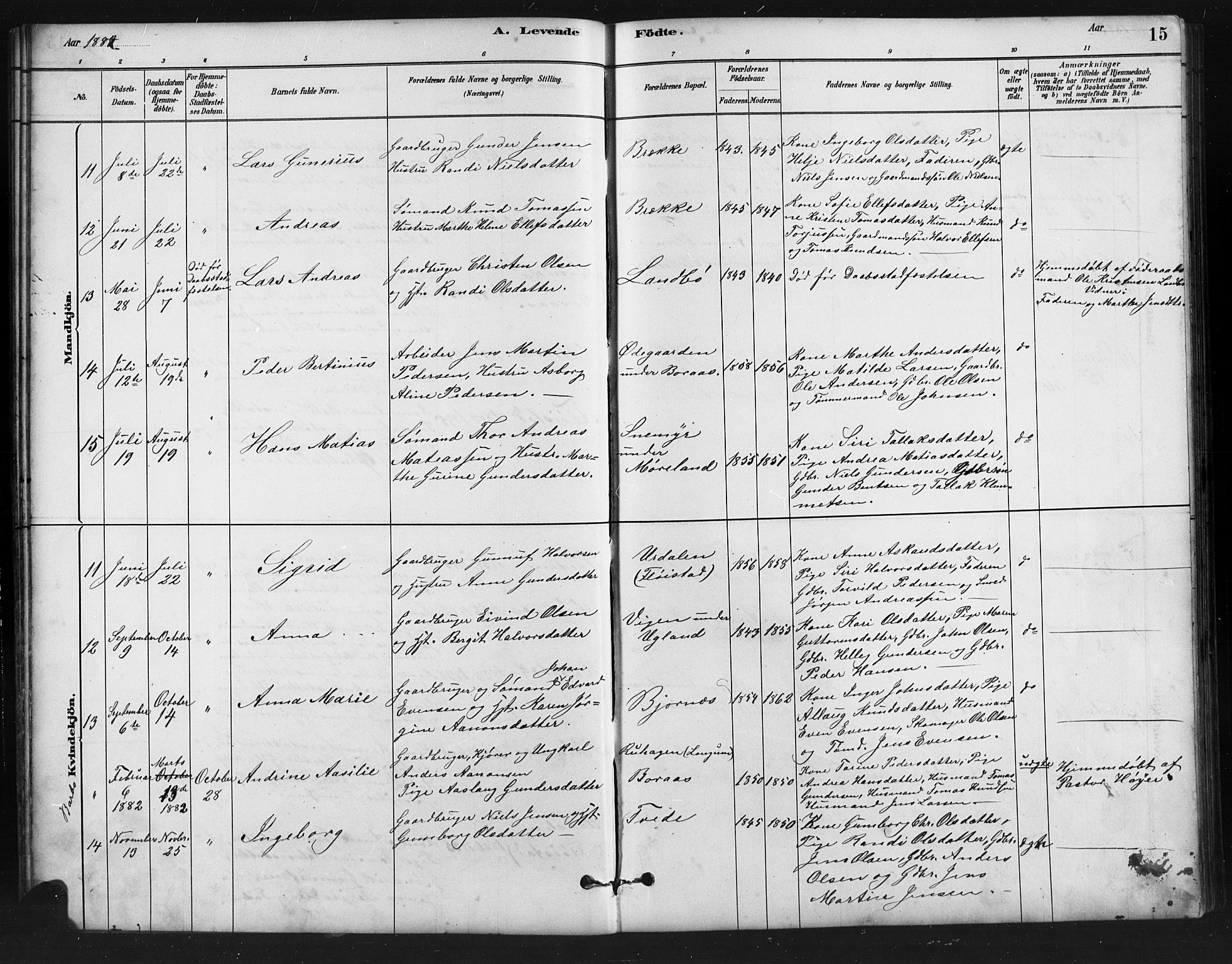 Austre Moland sokneprestkontor, AV/SAK-1111-0001/F/Fb/Fba/L0003: Parish register (copy) no. B 3, 1879-1914, p. 15