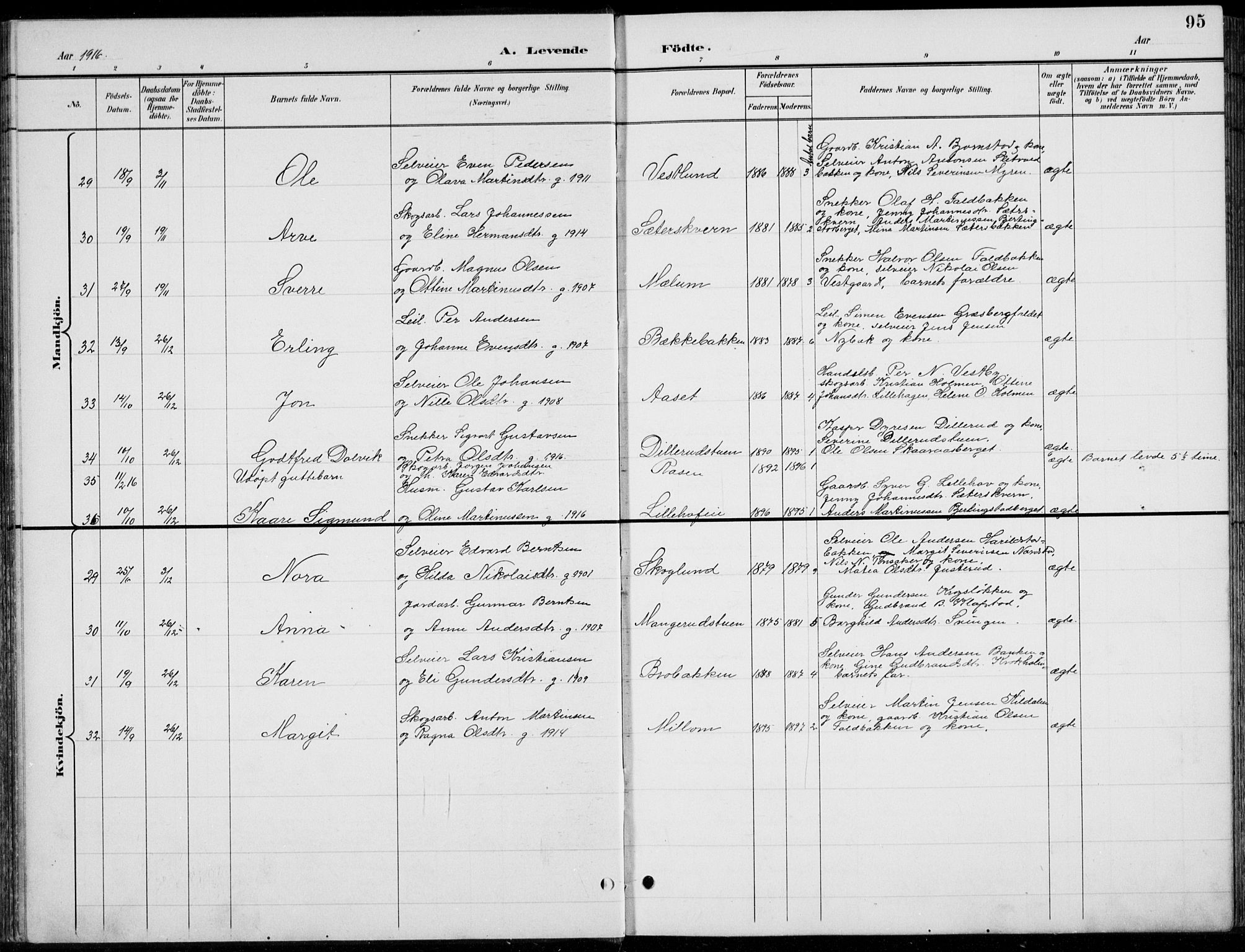 Romedal prestekontor, AV/SAH-PREST-004/L/L0013: Parish register (copy) no. 13, 1896-1937, p. 95