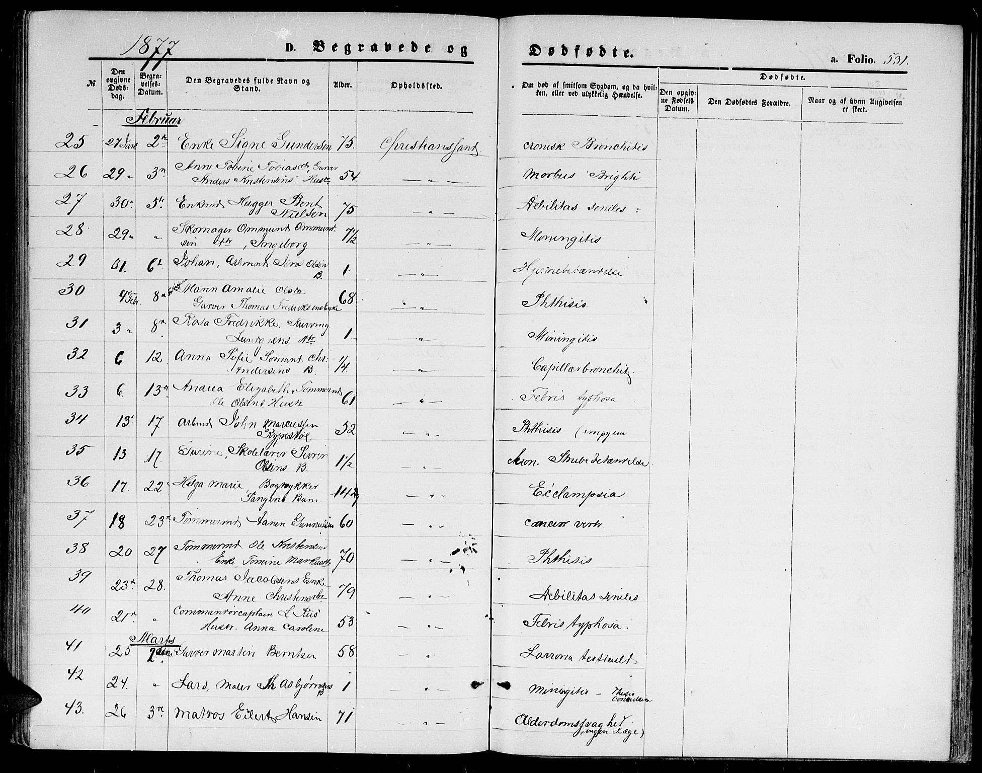 Kristiansand domprosti, AV/SAK-1112-0006/F/Fb/L0013: Parish register (copy) no. B 13, 1871-1880, p. 531