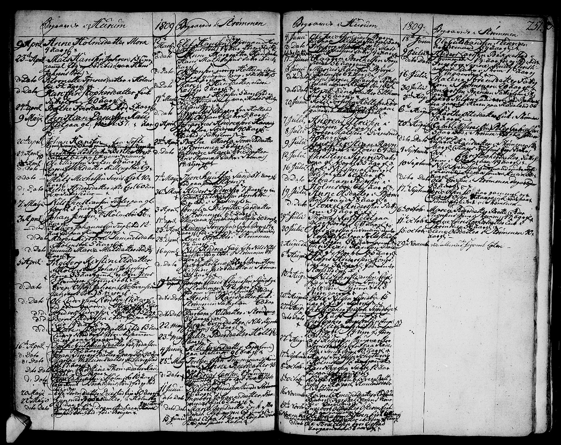 Hurum kirkebøker, AV/SAKO-A-229/F/Fa/L0007: Parish register (official) no. 7, 1771-1810, p. 251